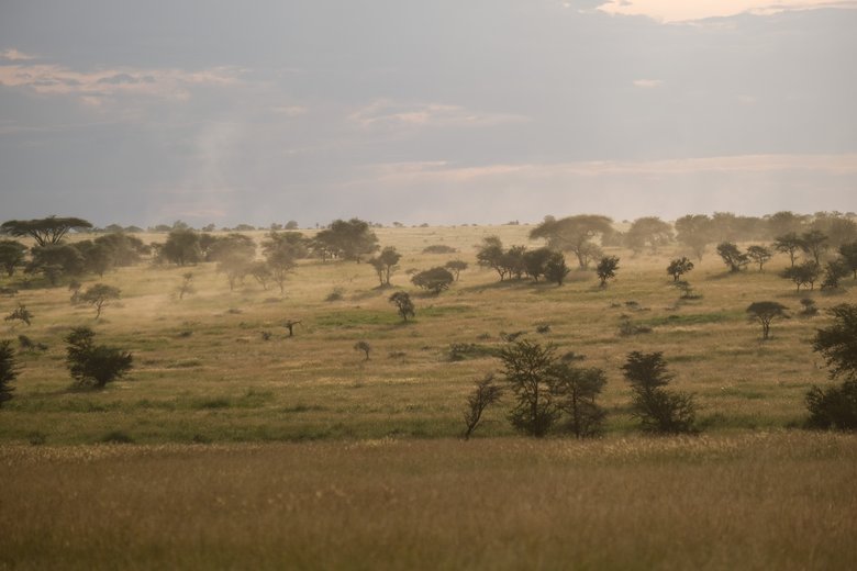 Africa