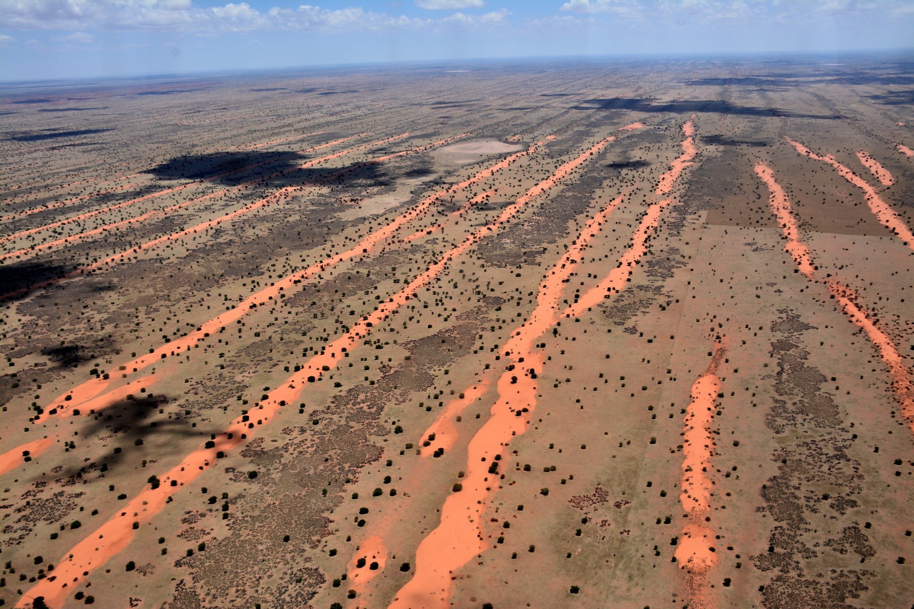 Kalahari Desert