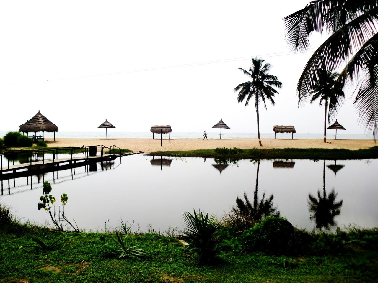 Busua