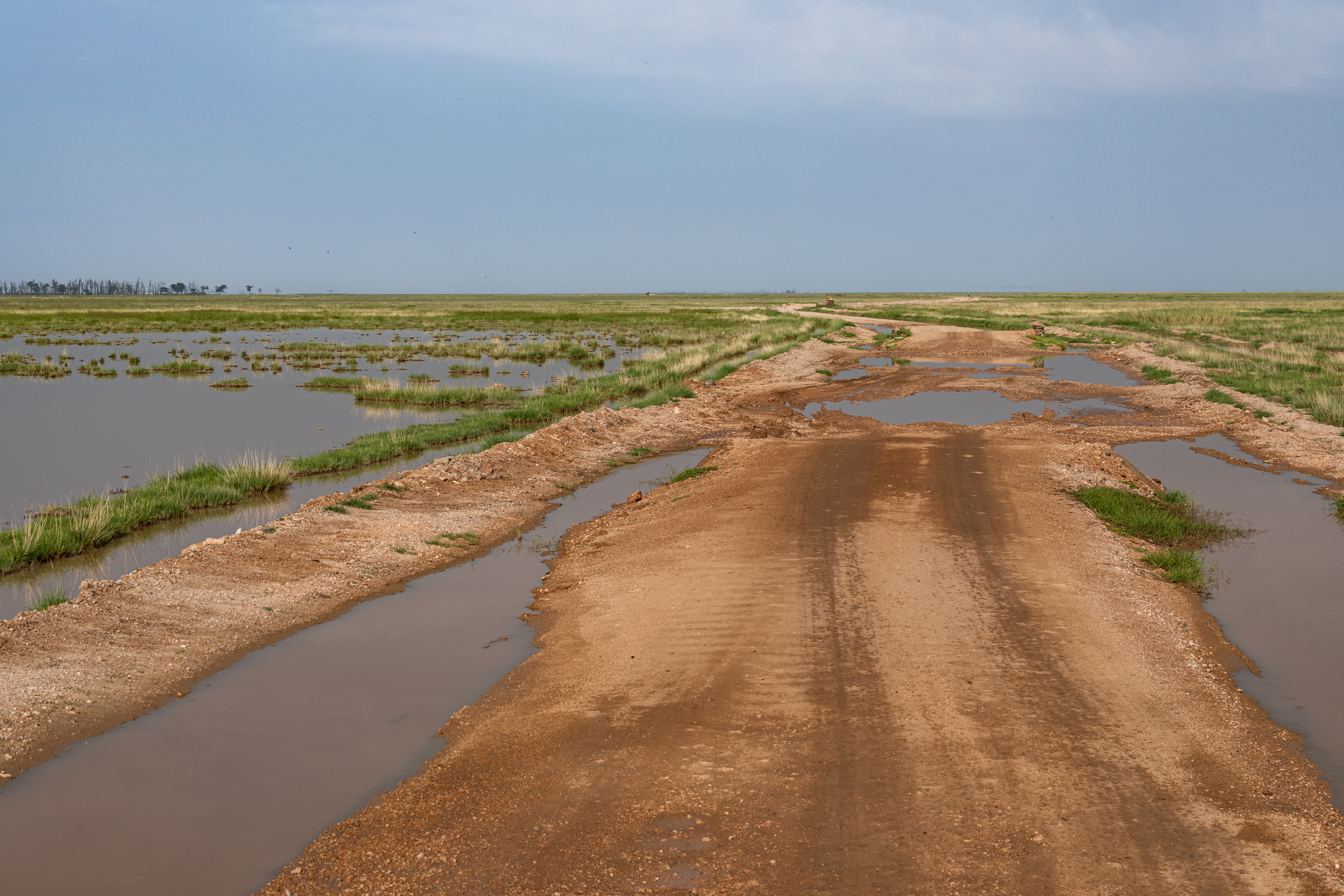 Amboseli National Park