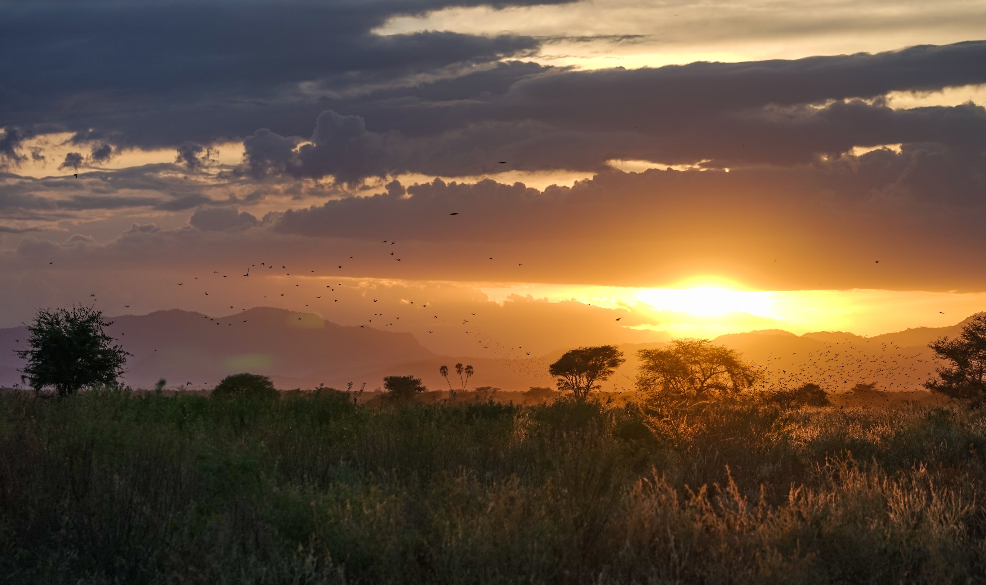 Meru National Park