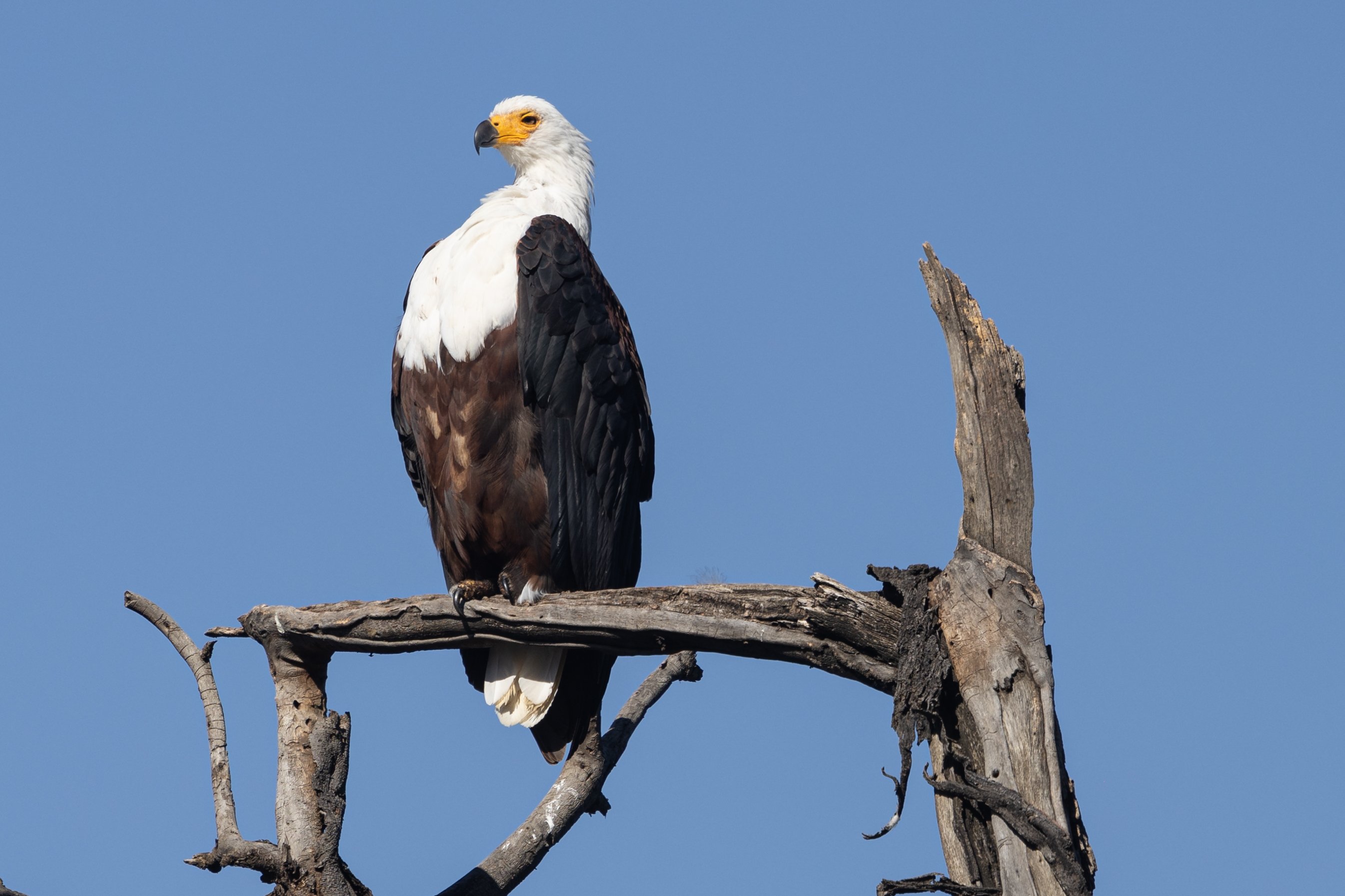 Lake Nakuru National Park