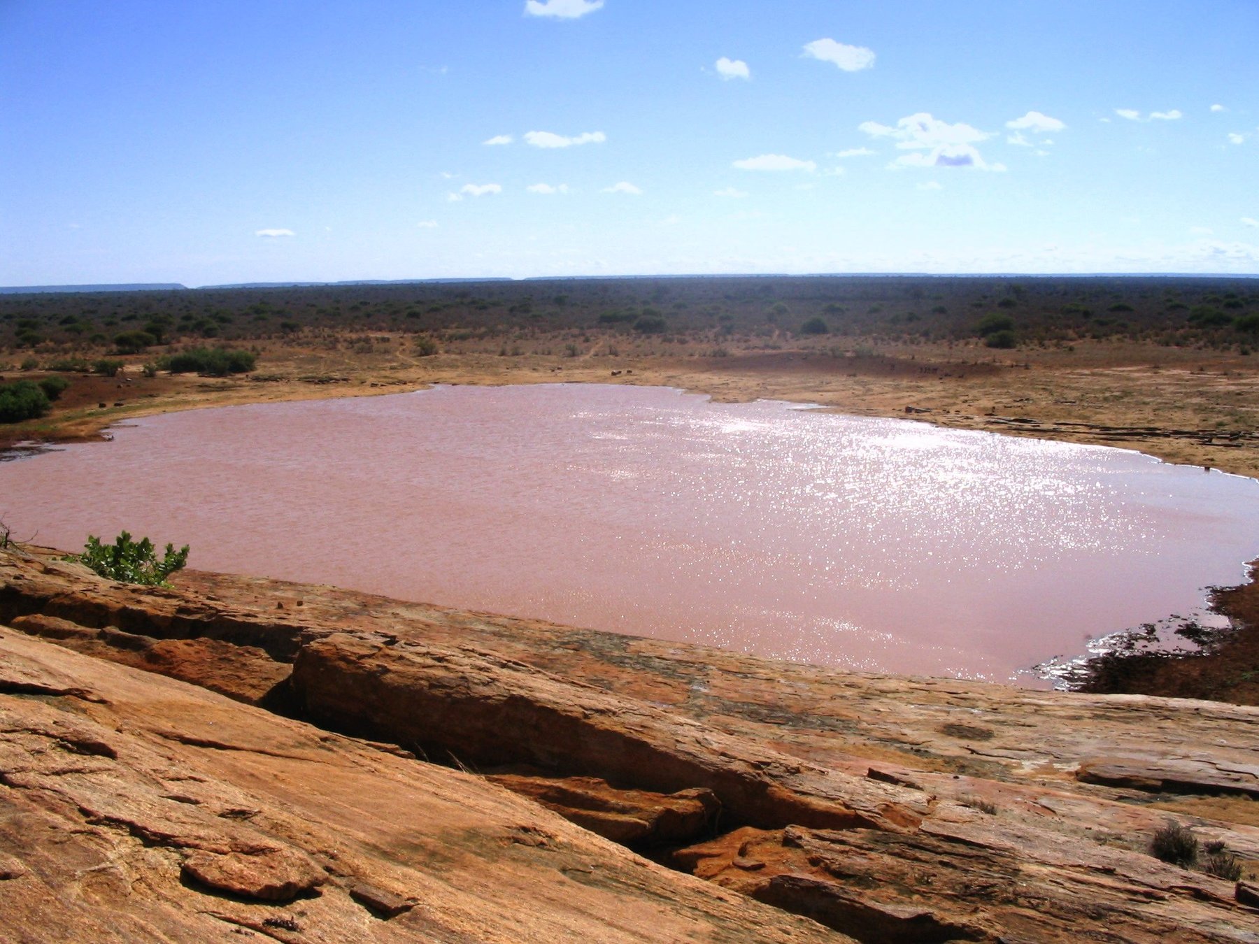 Tsavo East