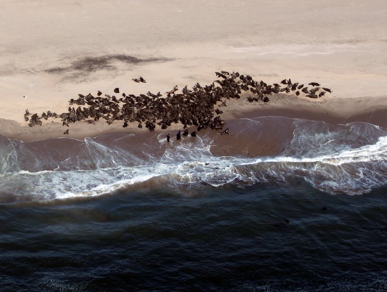Namibia