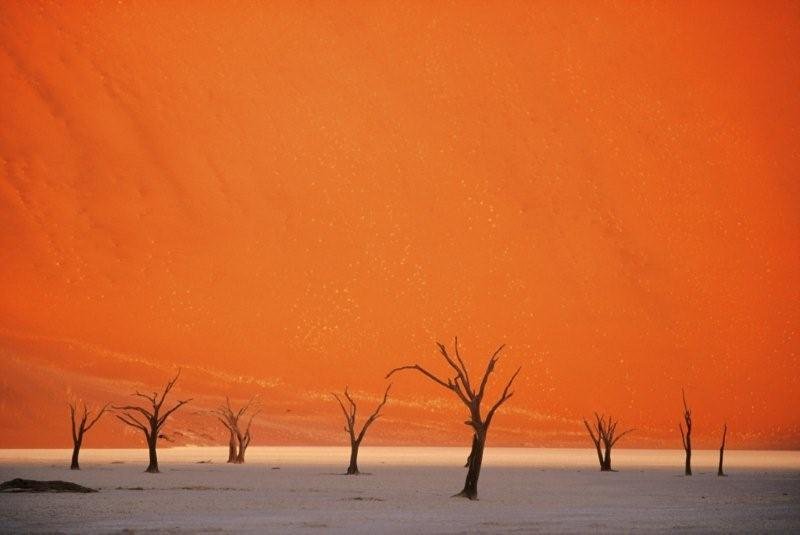 Sossusvlei