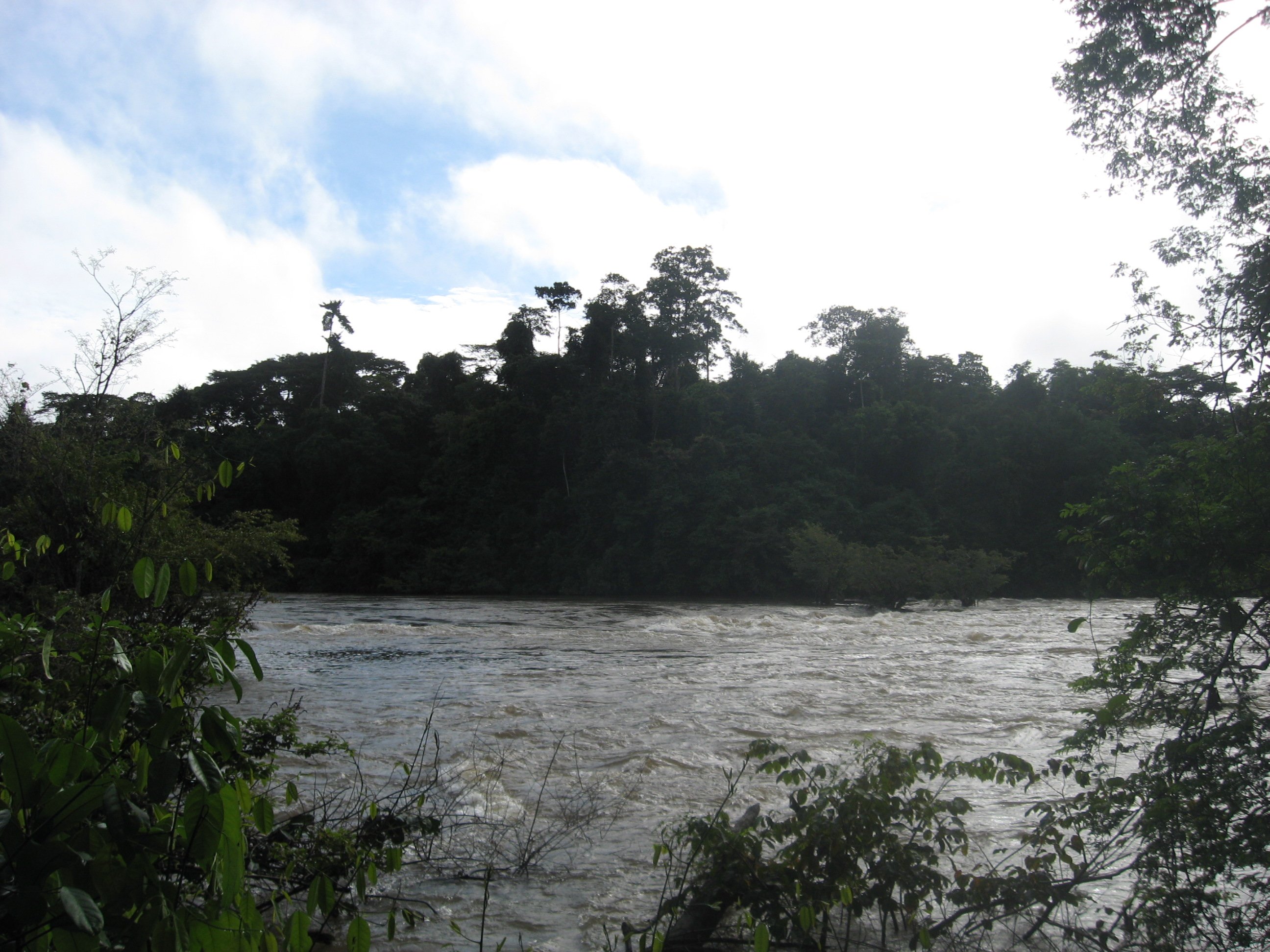Tiwai Island