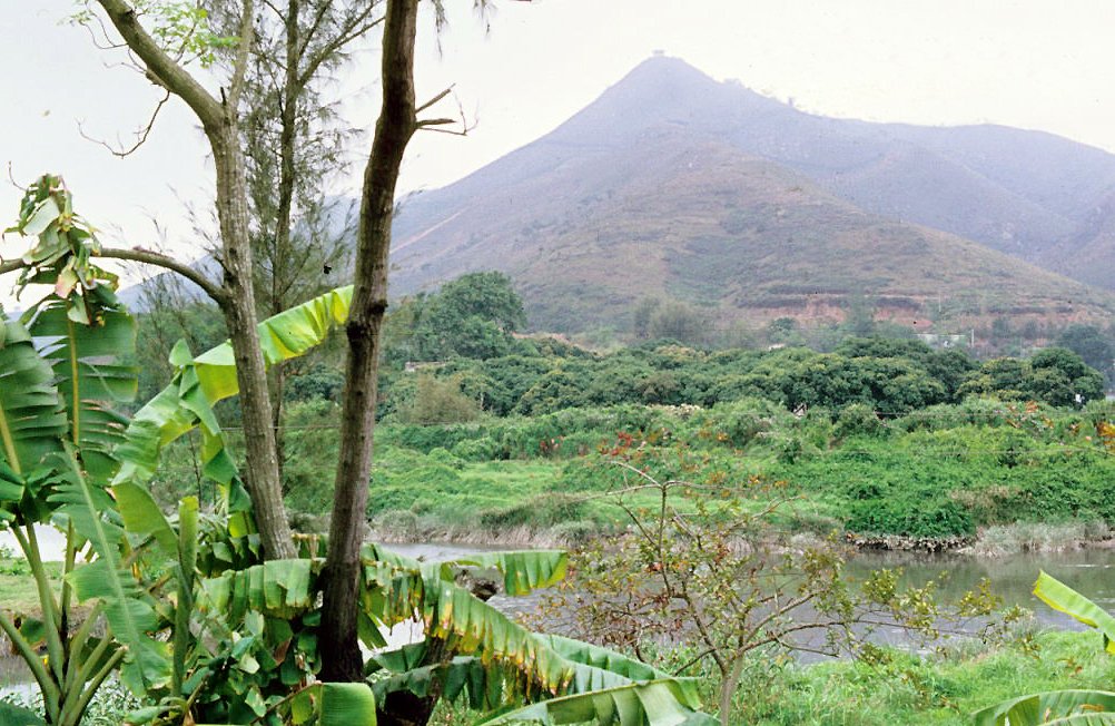 New Territories