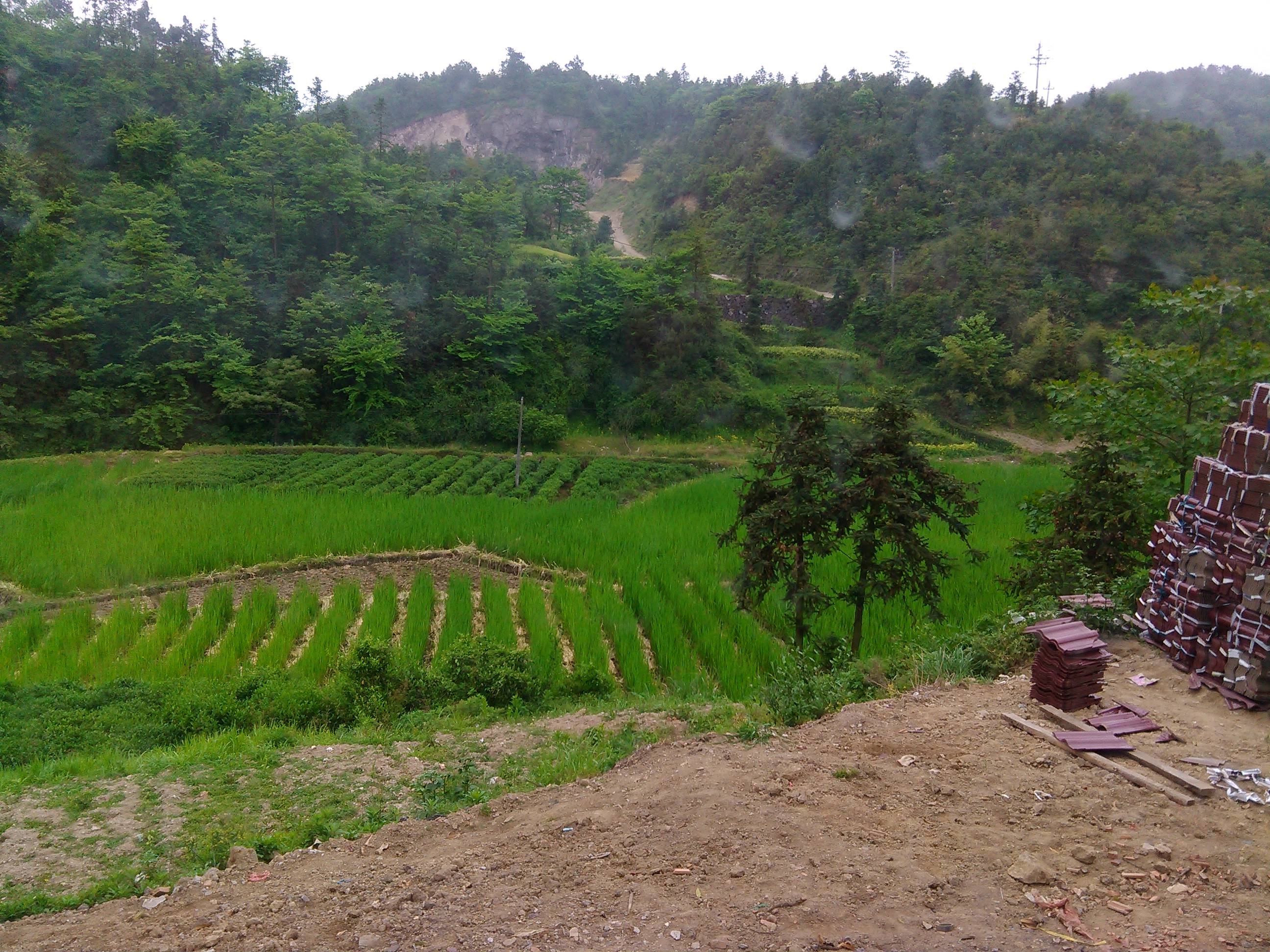 Xinchang