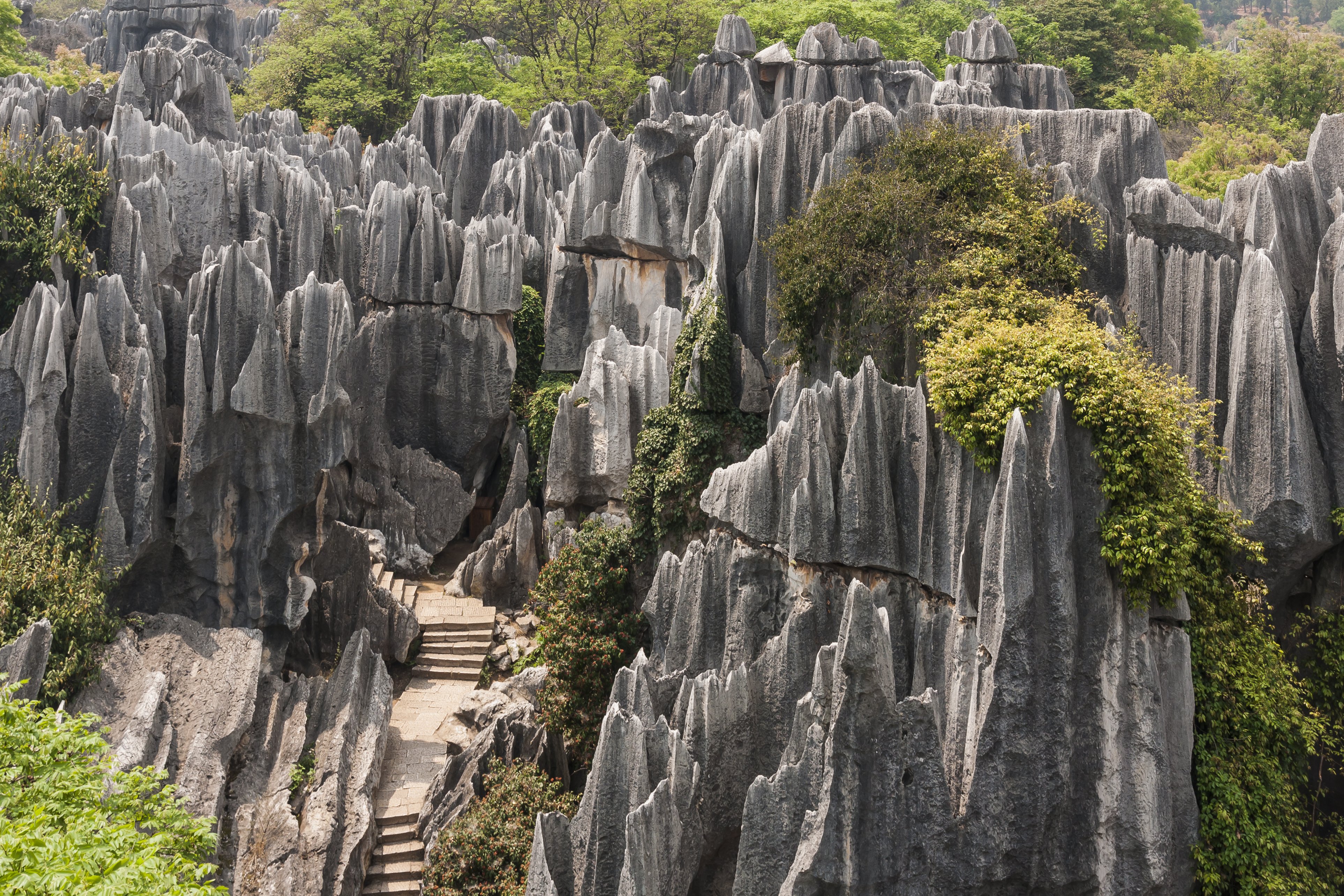 Stone Forest (Shilin)