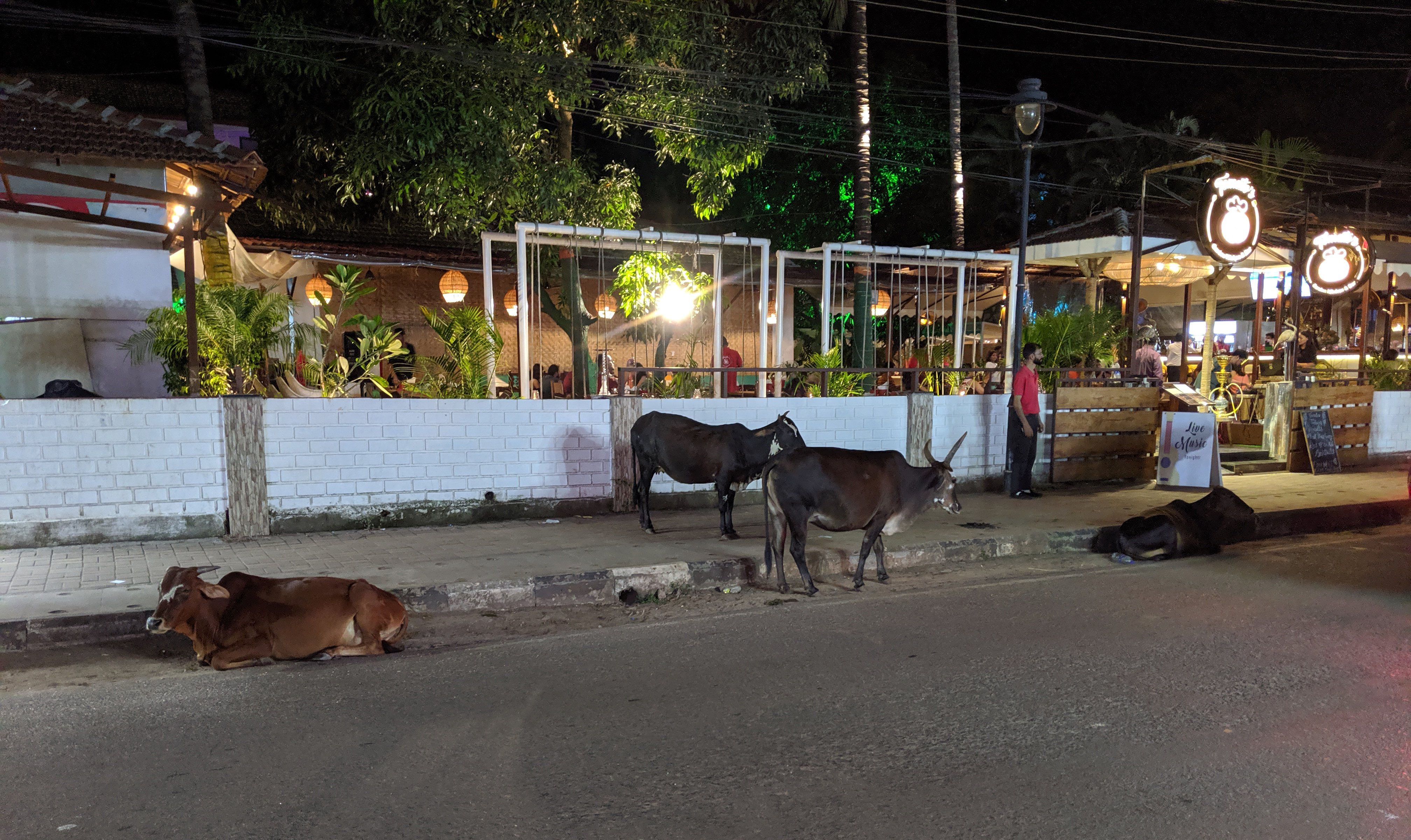 Candolim