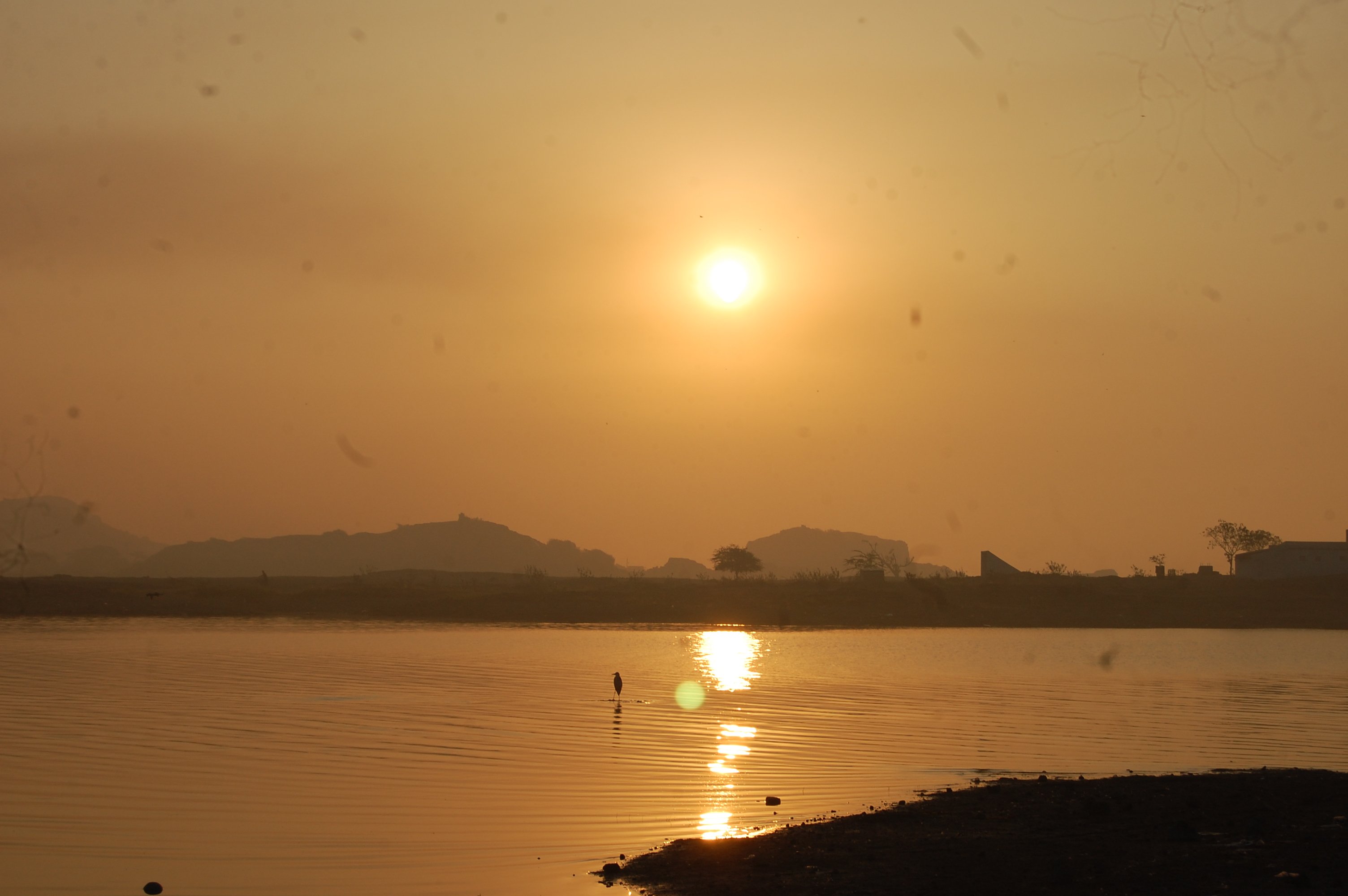 Rajkot