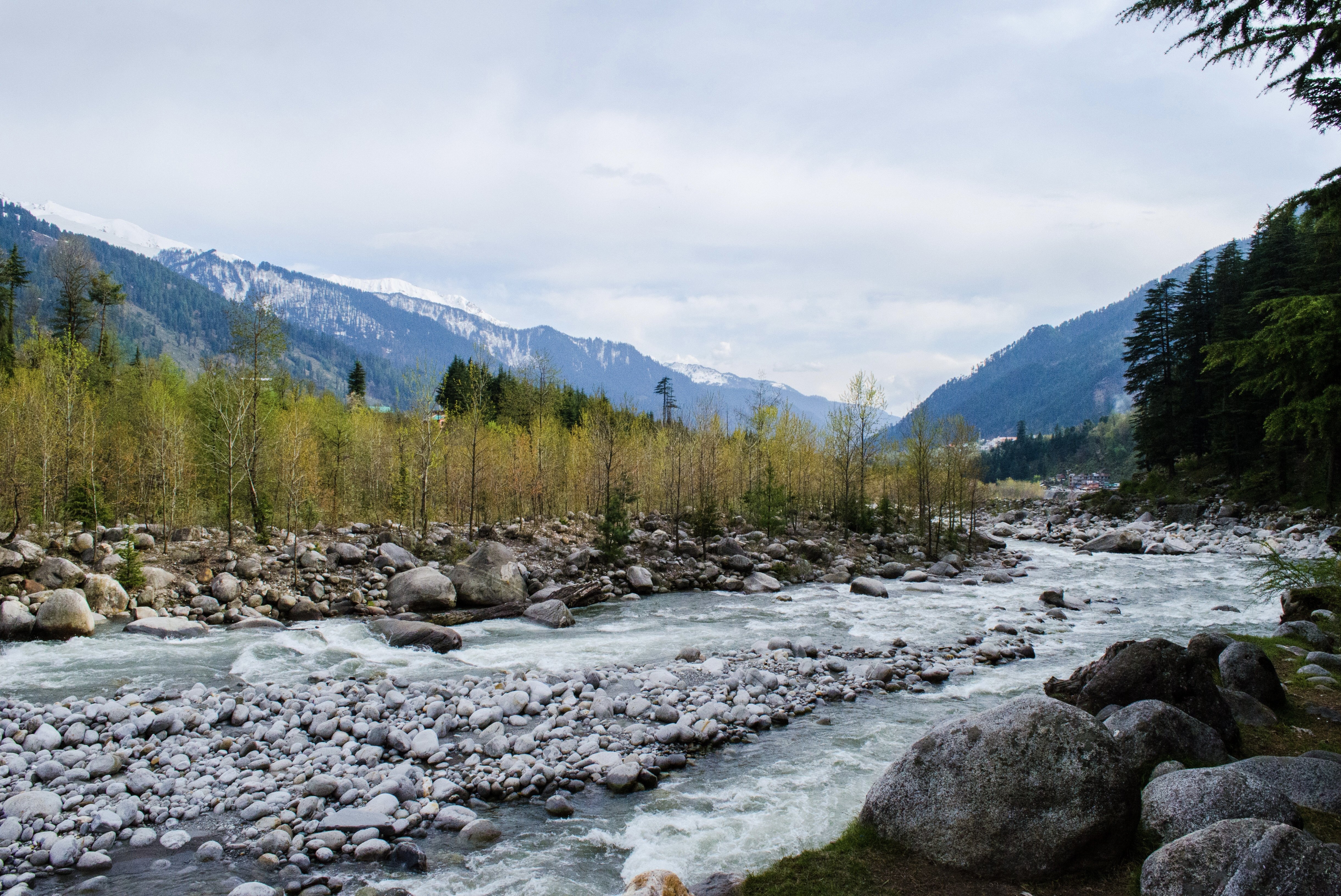 Manali