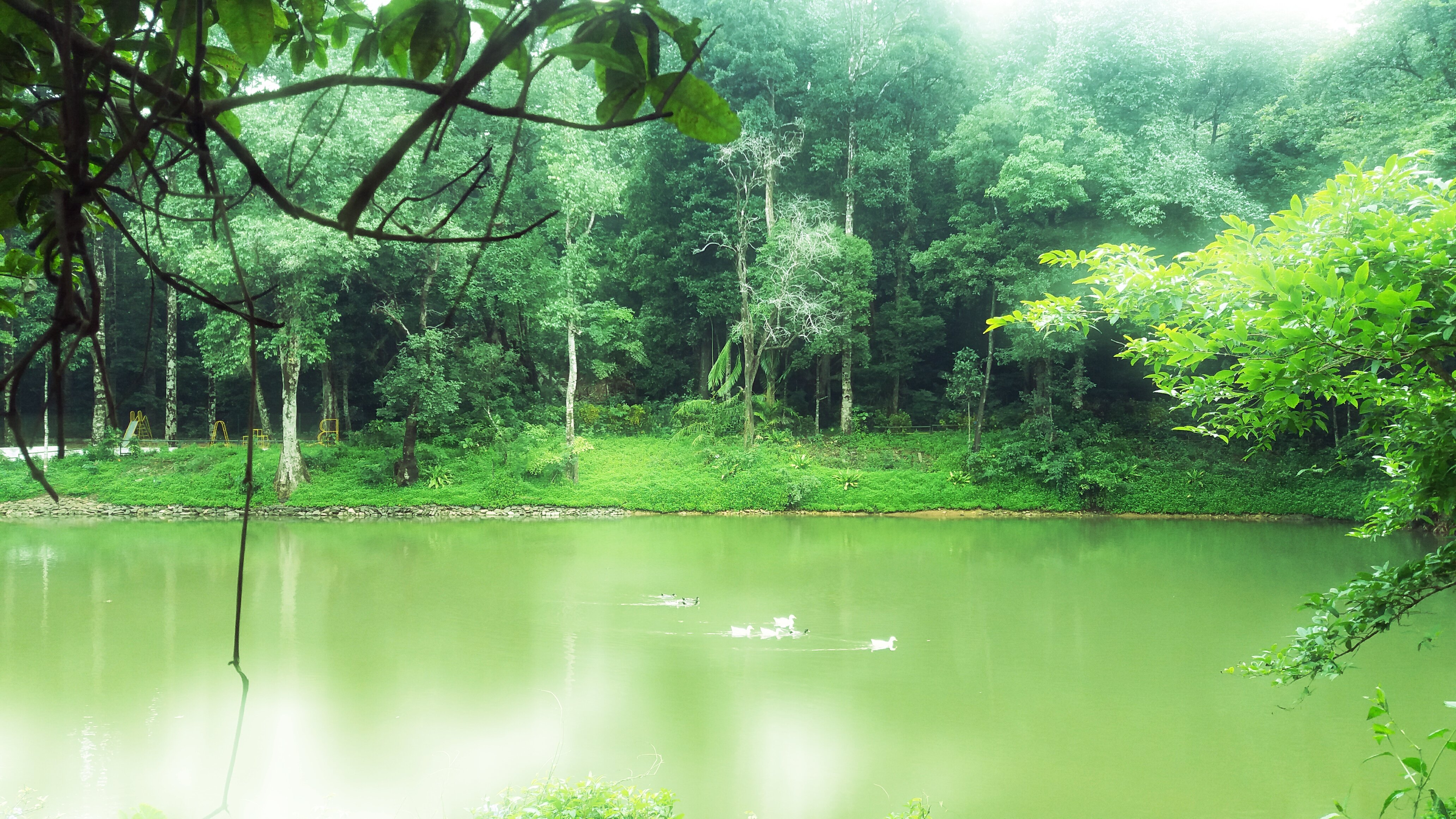 Agumbe