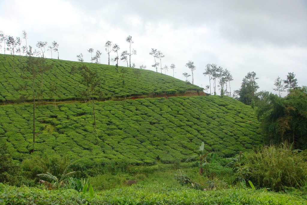 Coorg