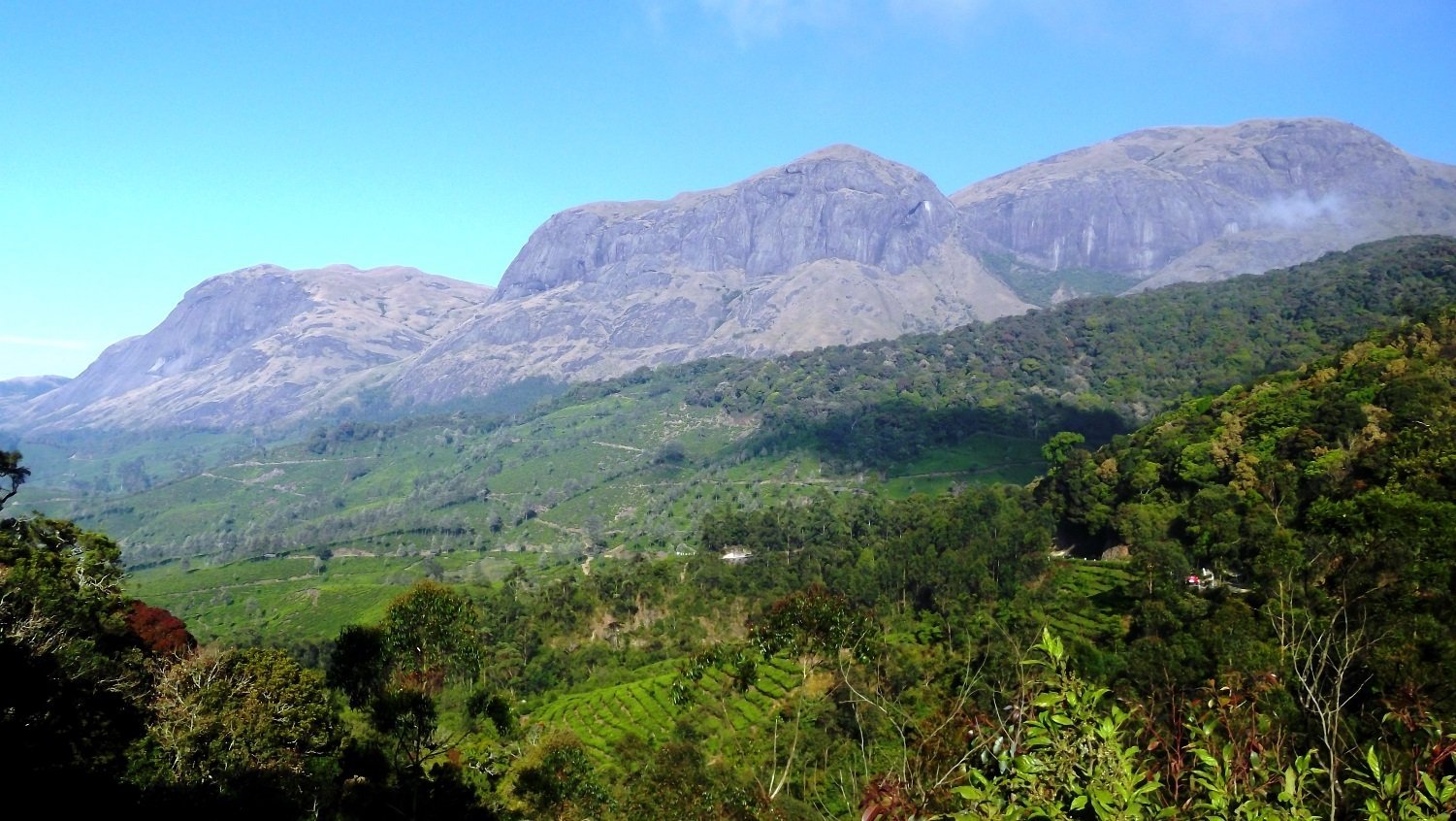 Munnar