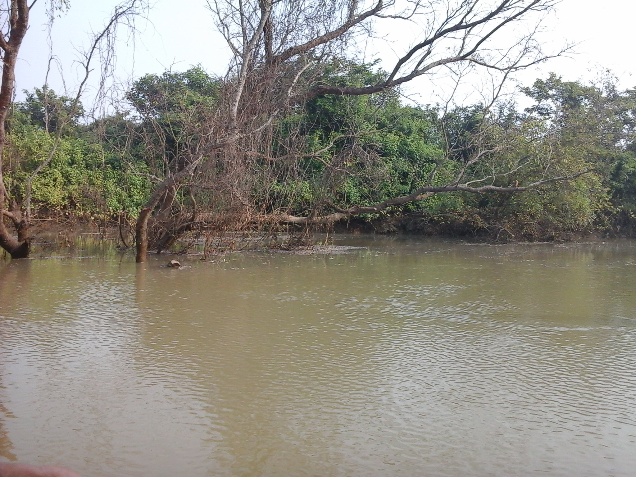 Bhitarkanika National Park
