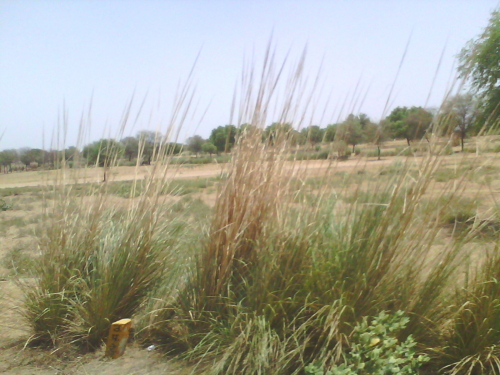 Alwar