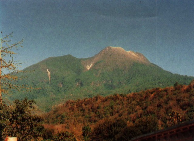 Maumere