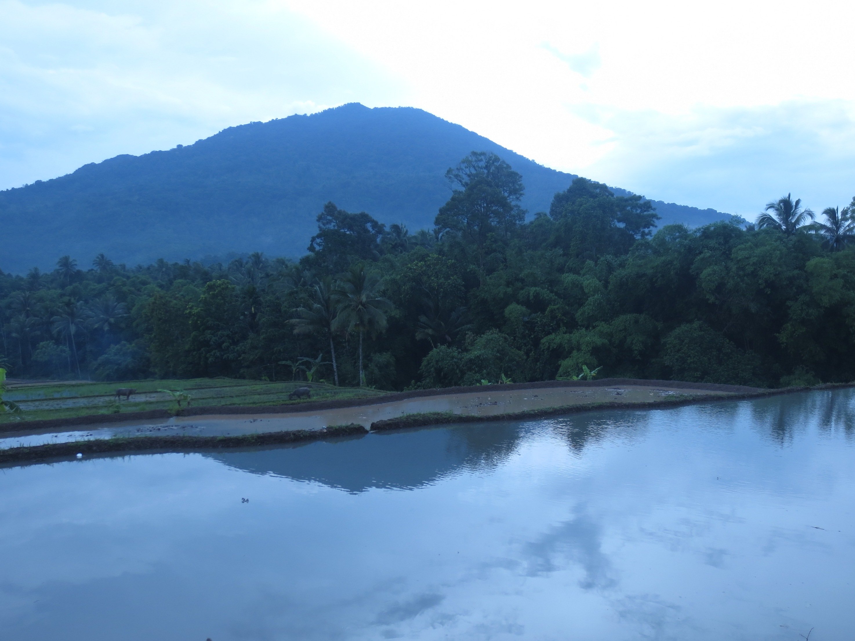 Pandeglang