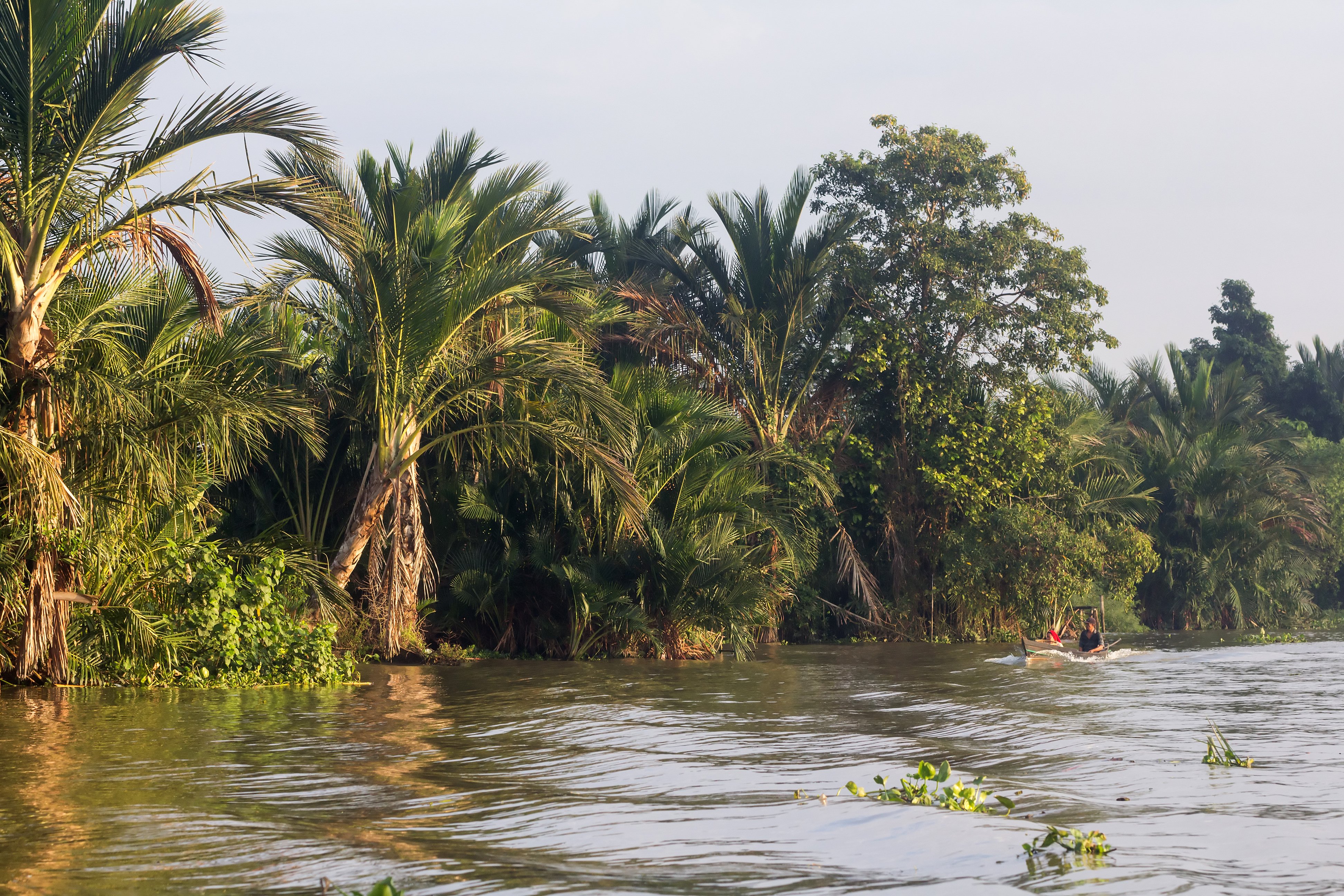 Kalimantan