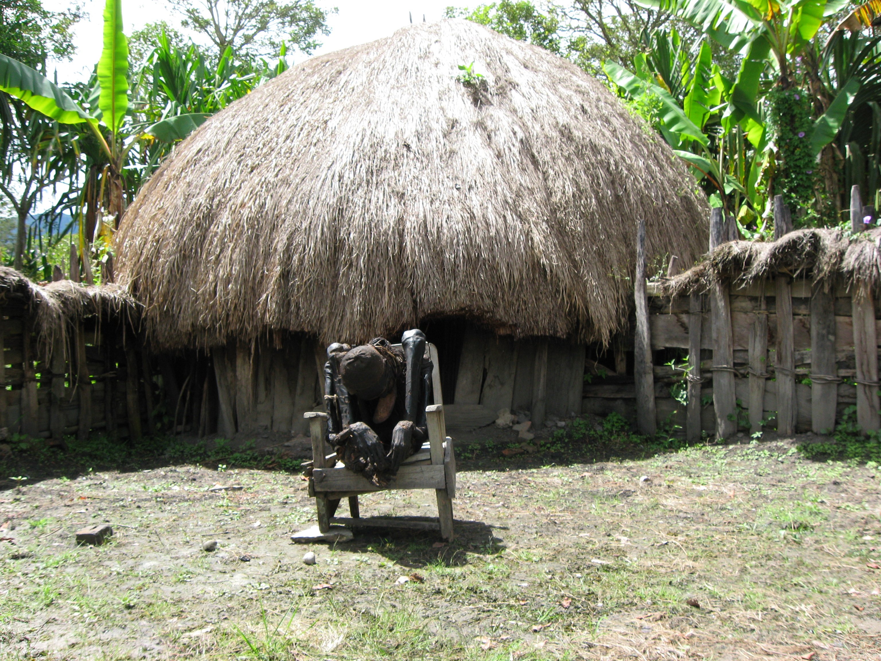 Papua