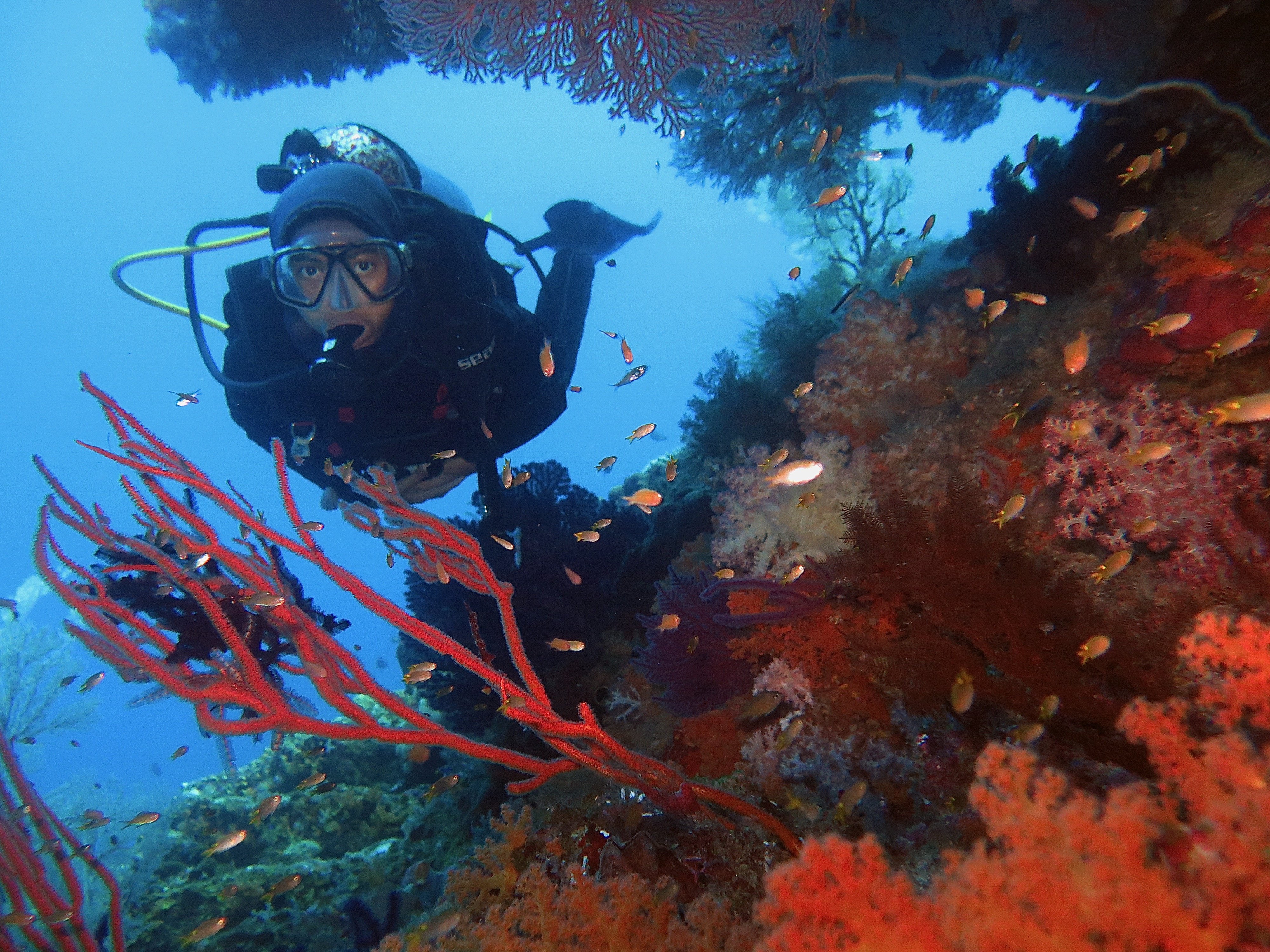Raja Ampat