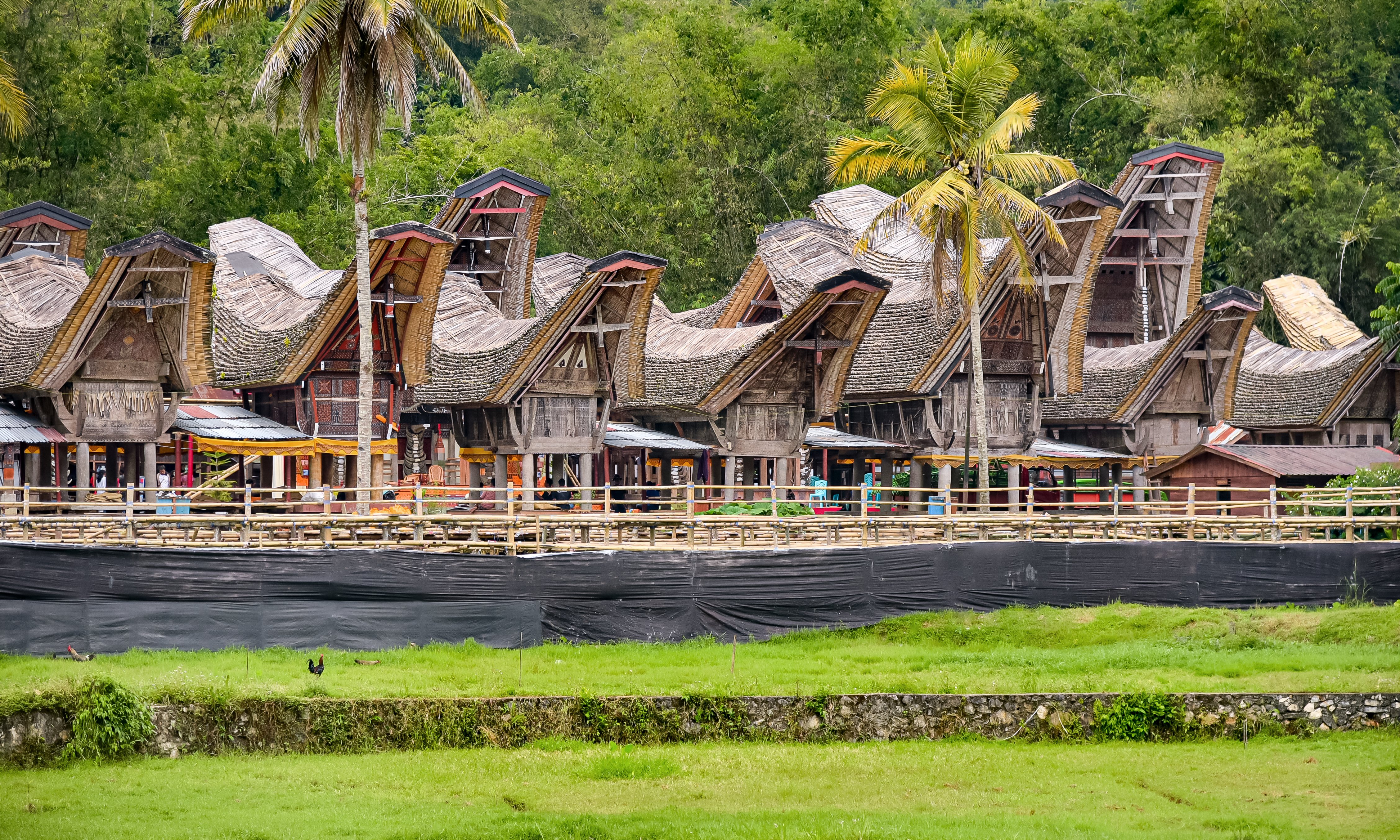 Toraja Highland