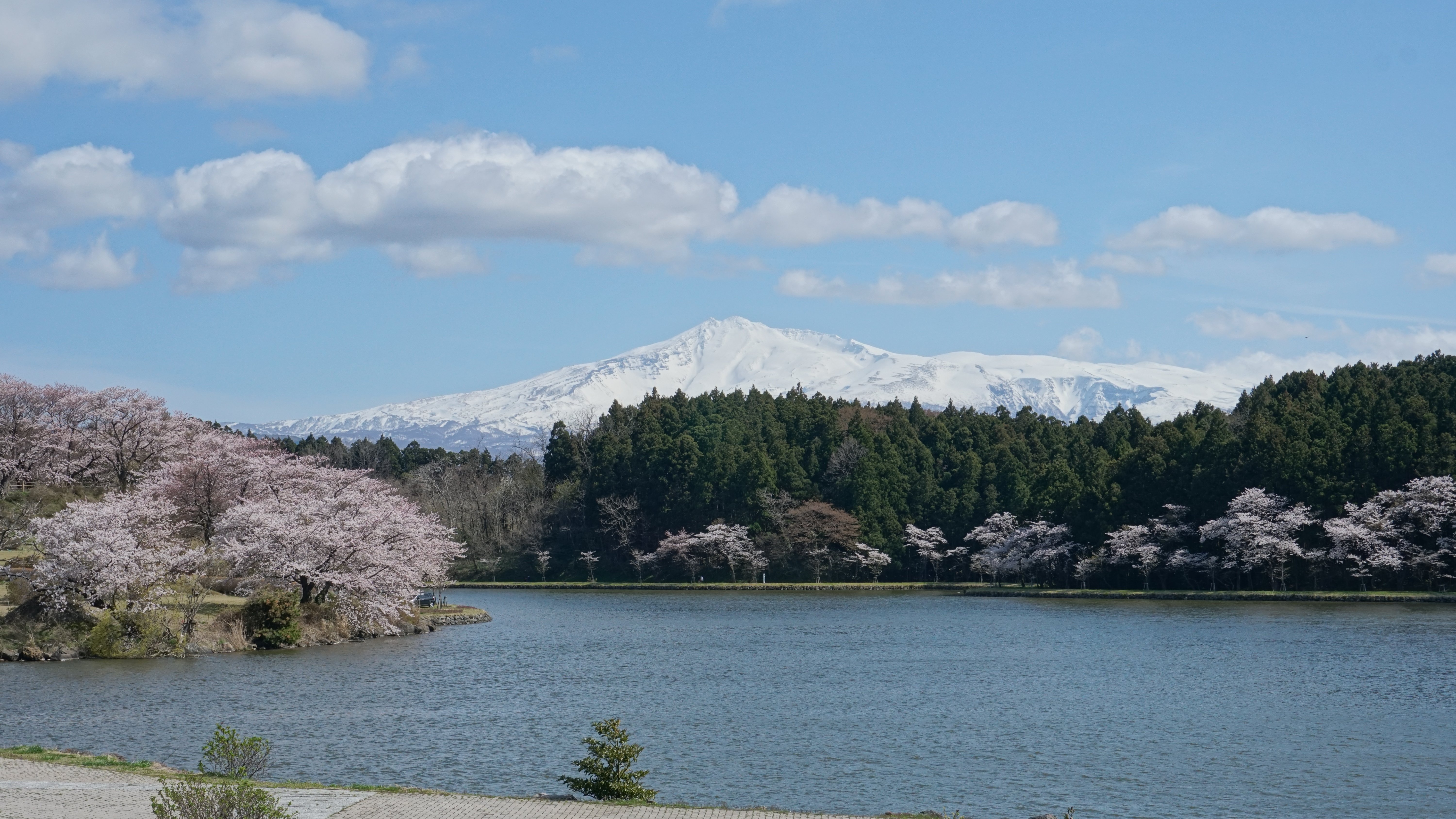Nikaho