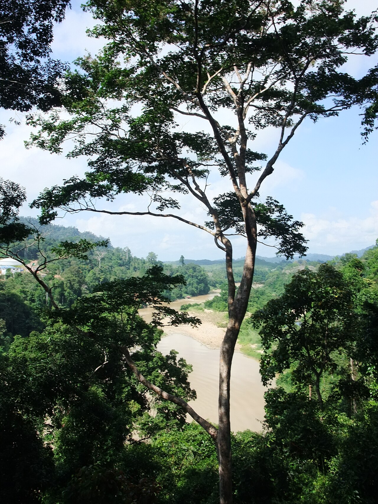 Taman Negara