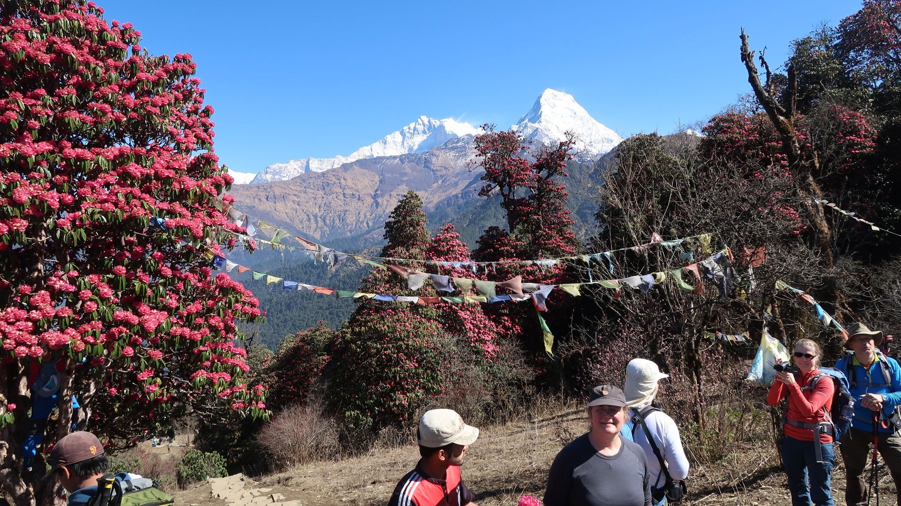 Ghorepani and Poon Hill