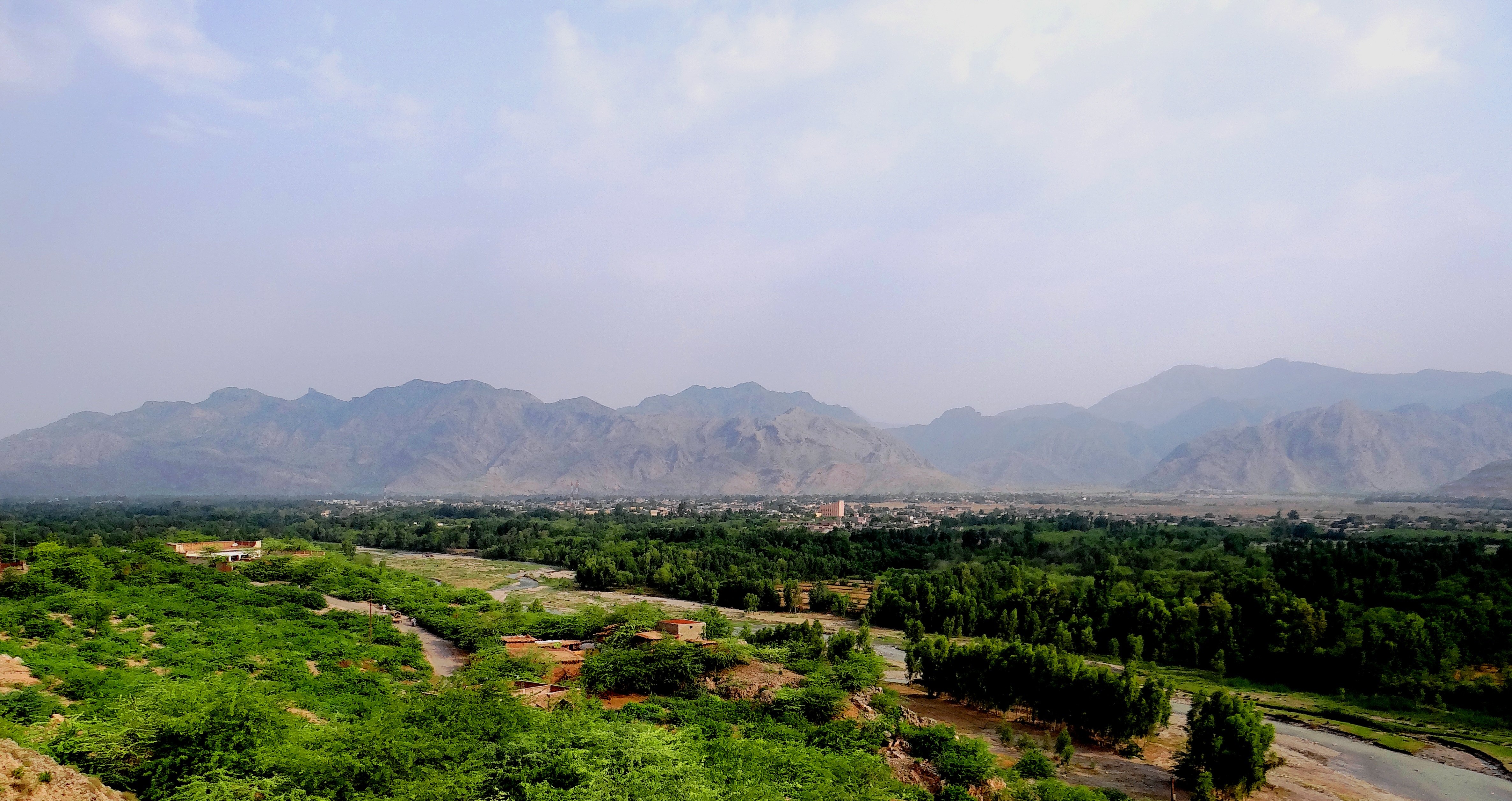 Kohat