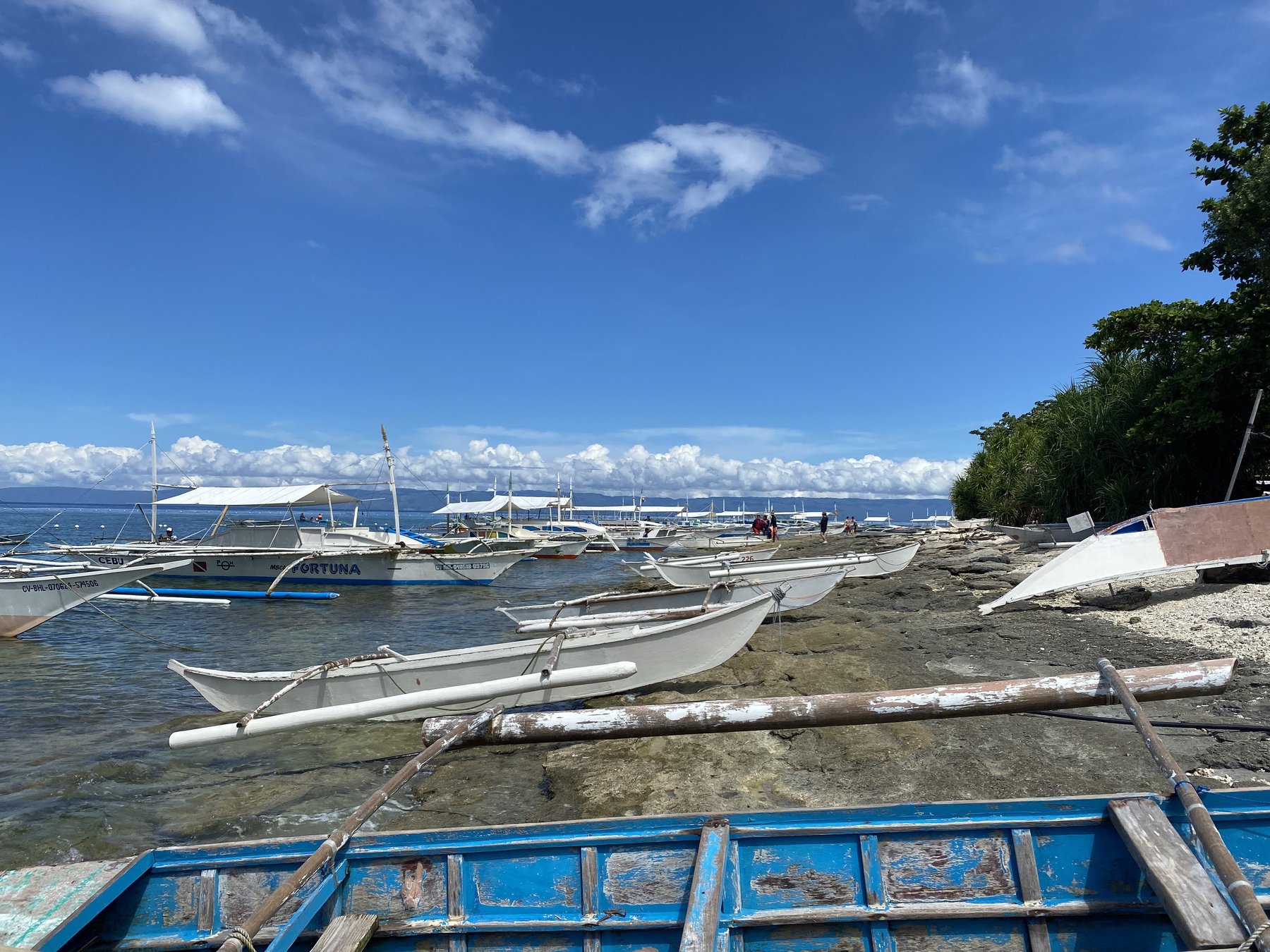 Balicasag Island