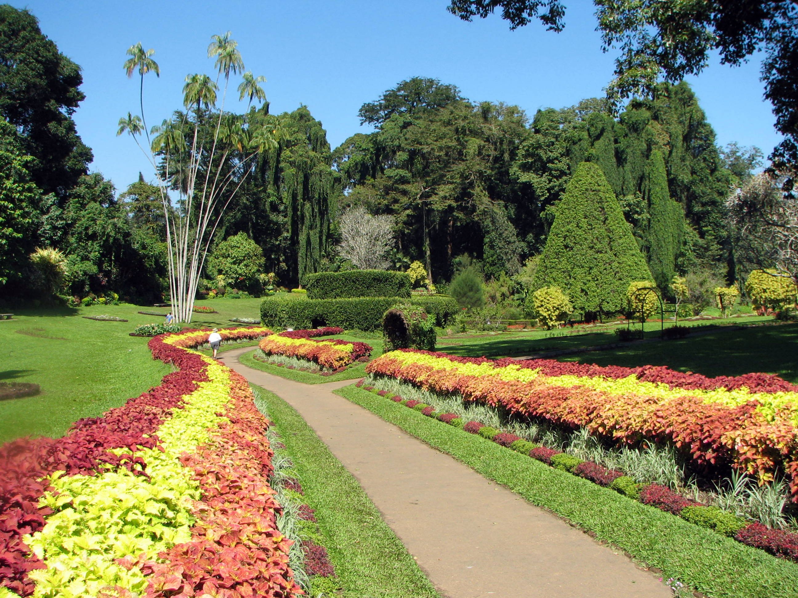 Kandy