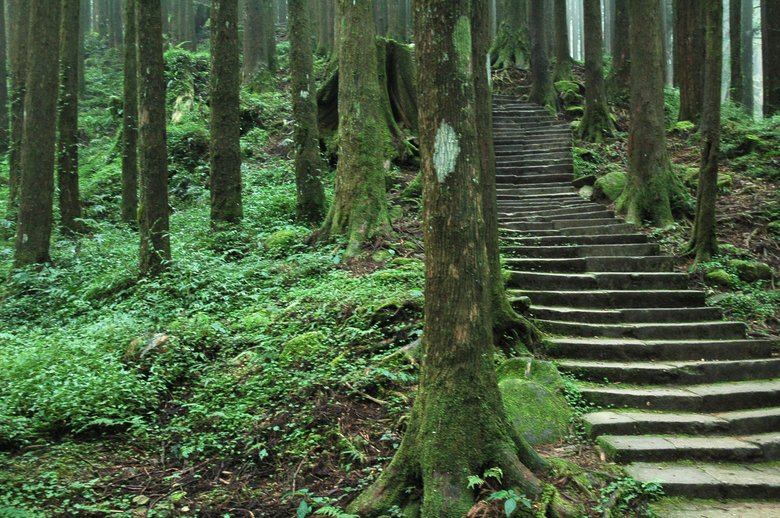 Taiwan
