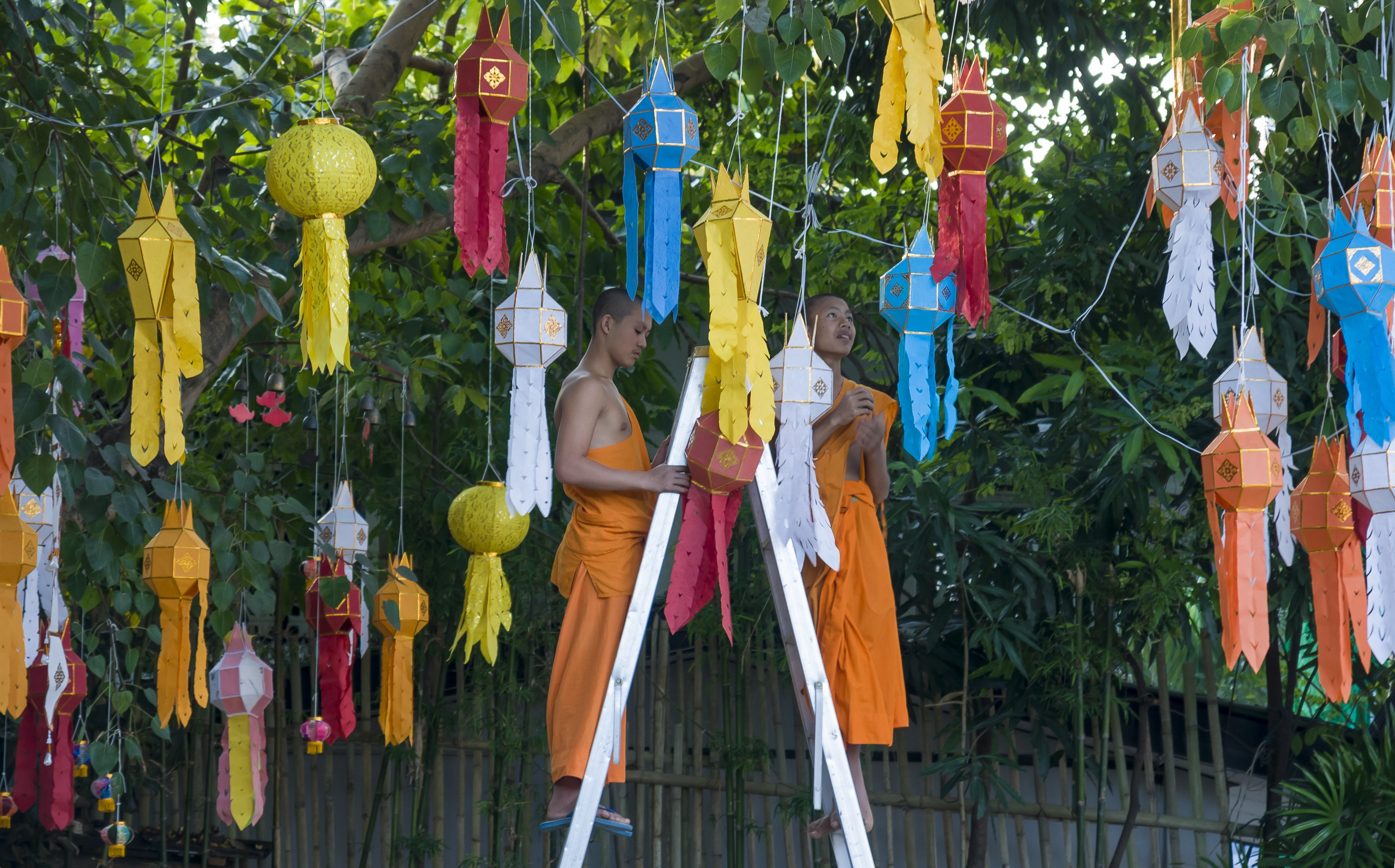 Northern Thailand