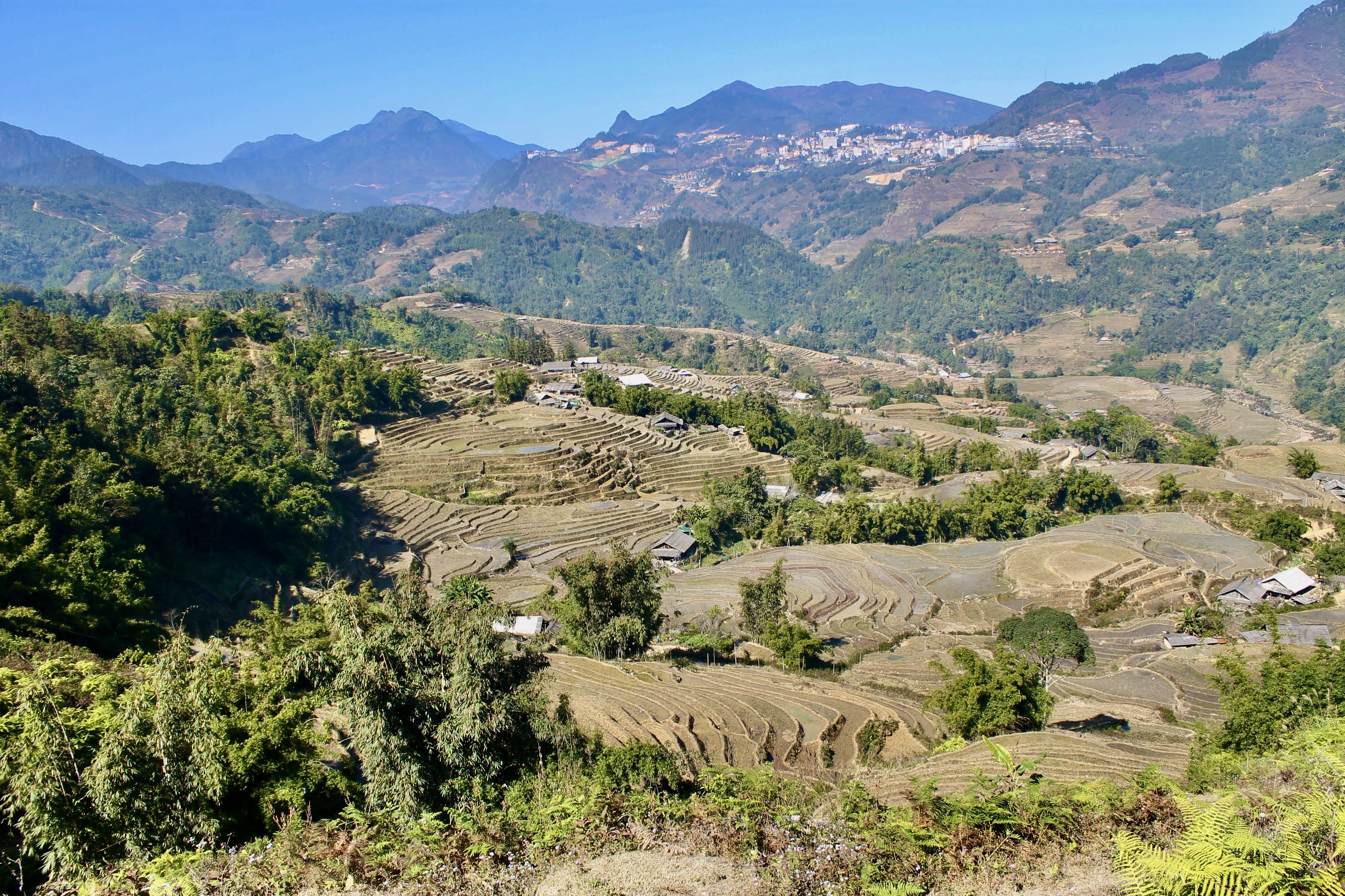 Sapa
