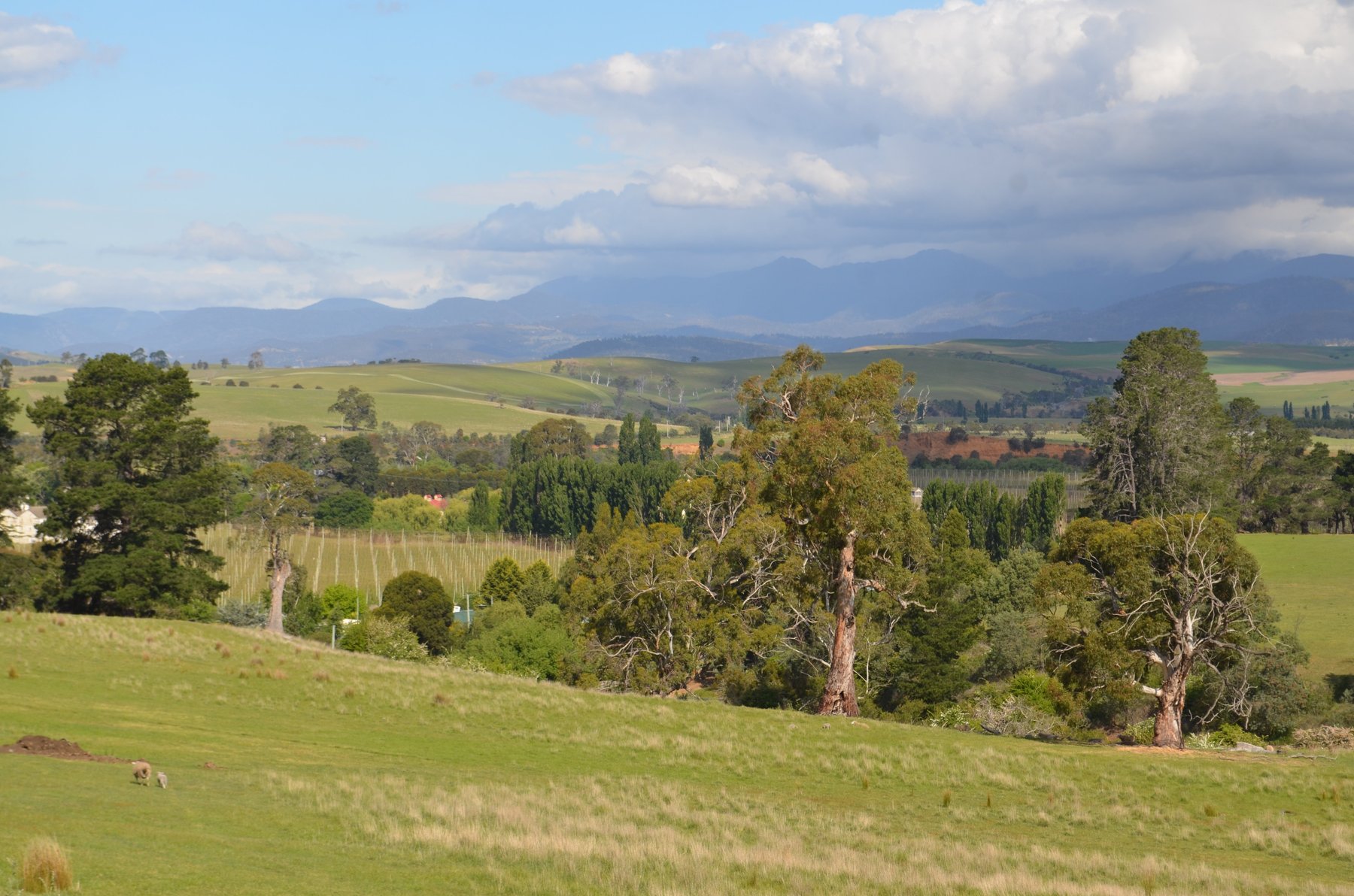 Southeast Tasmania