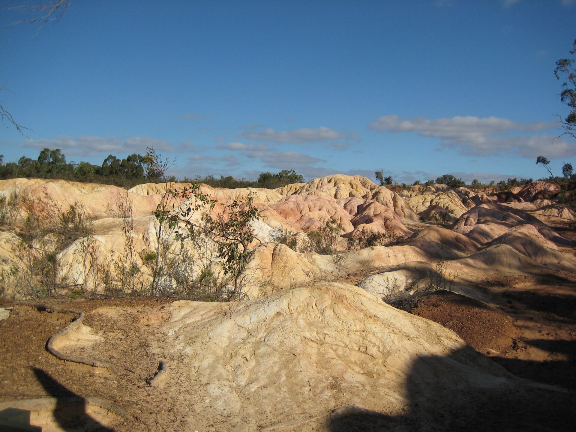 Heathcote