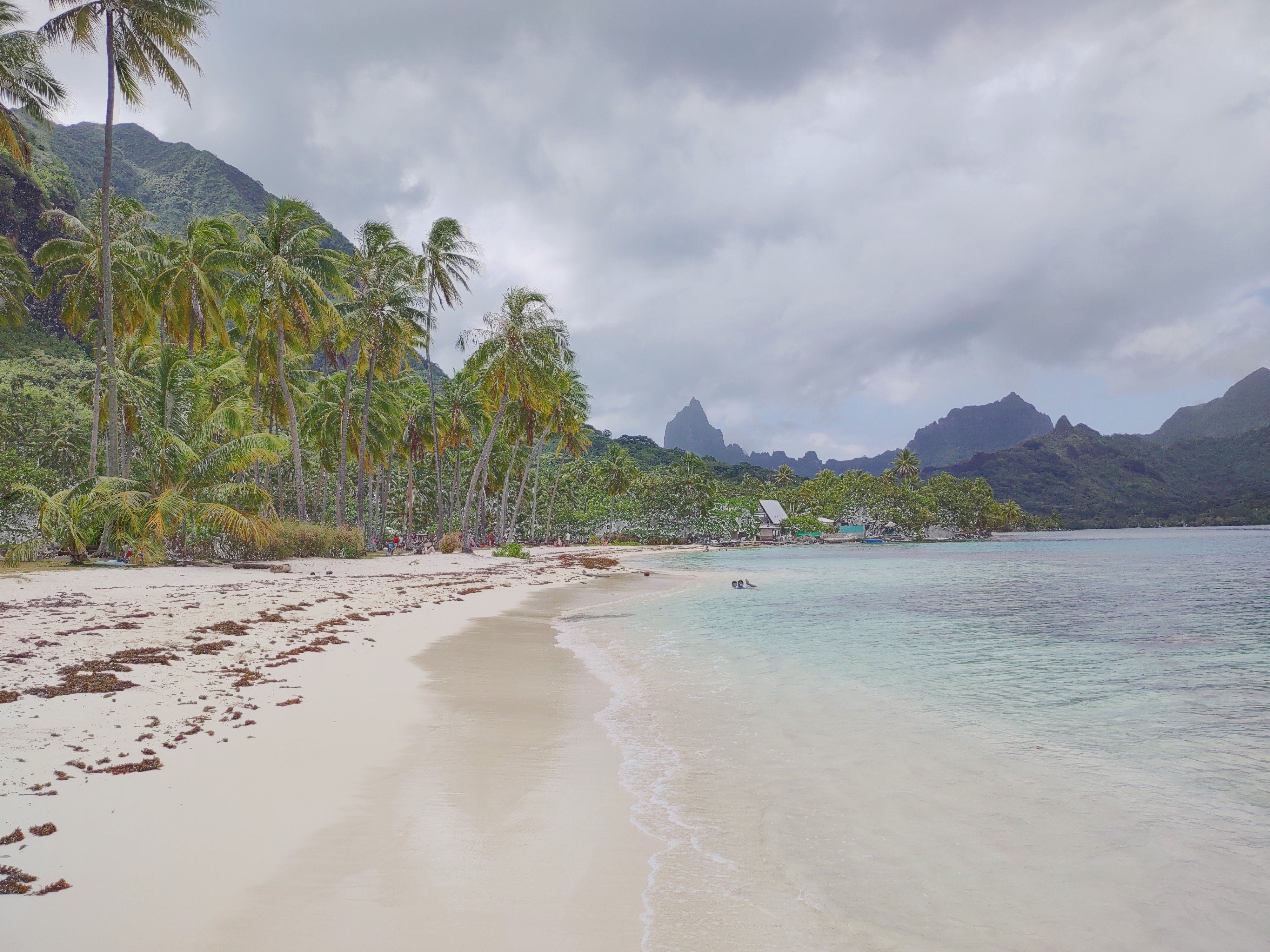 Moorea
