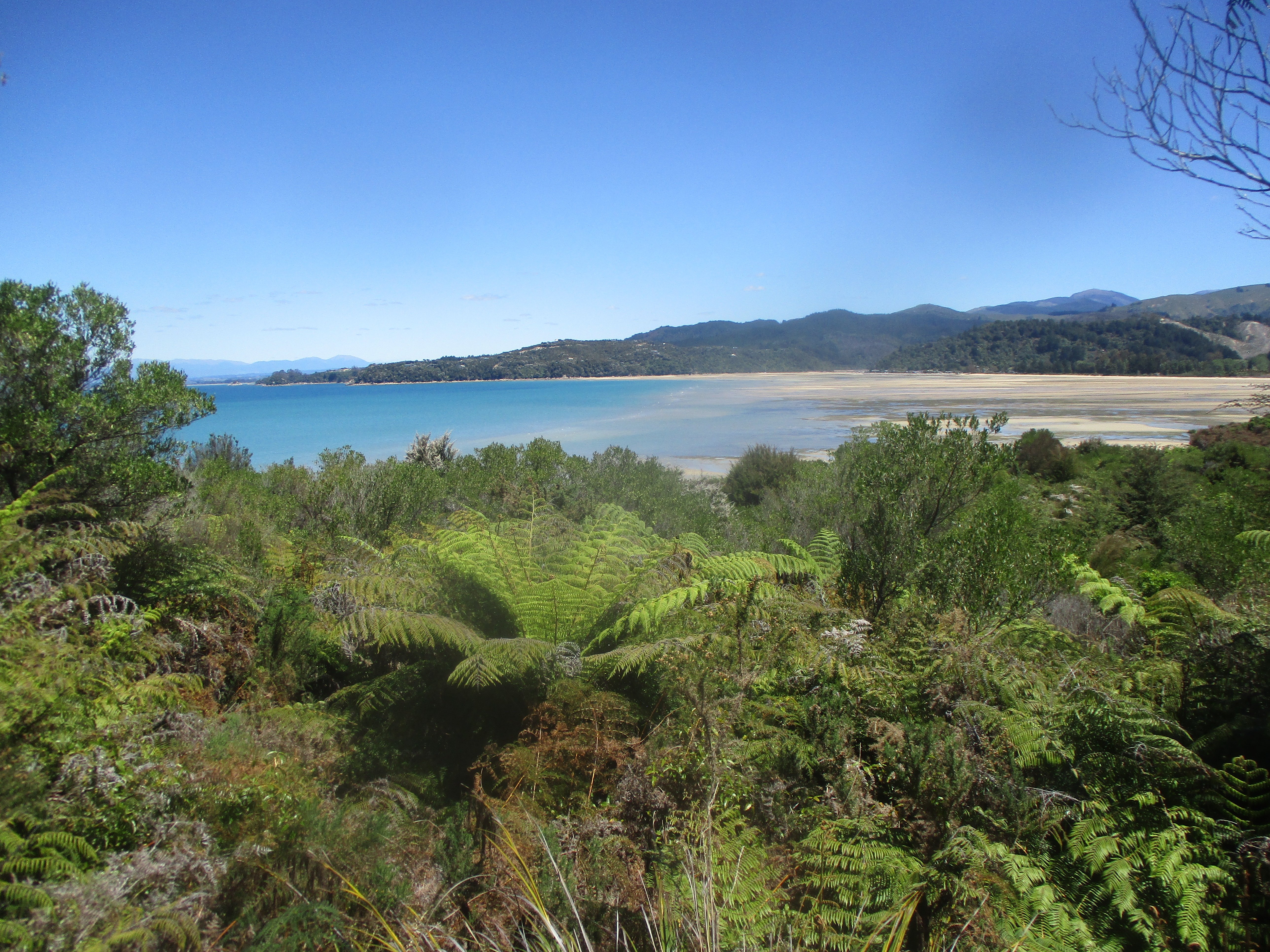 Abel Tasman National Park