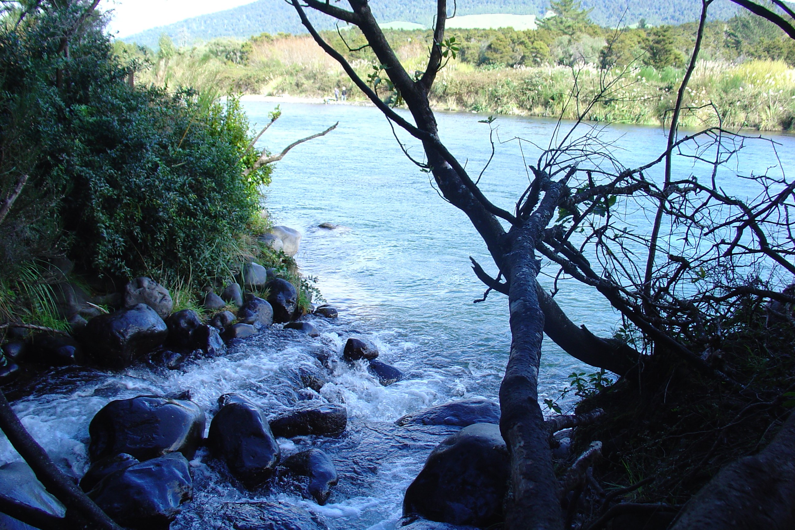 Turangi