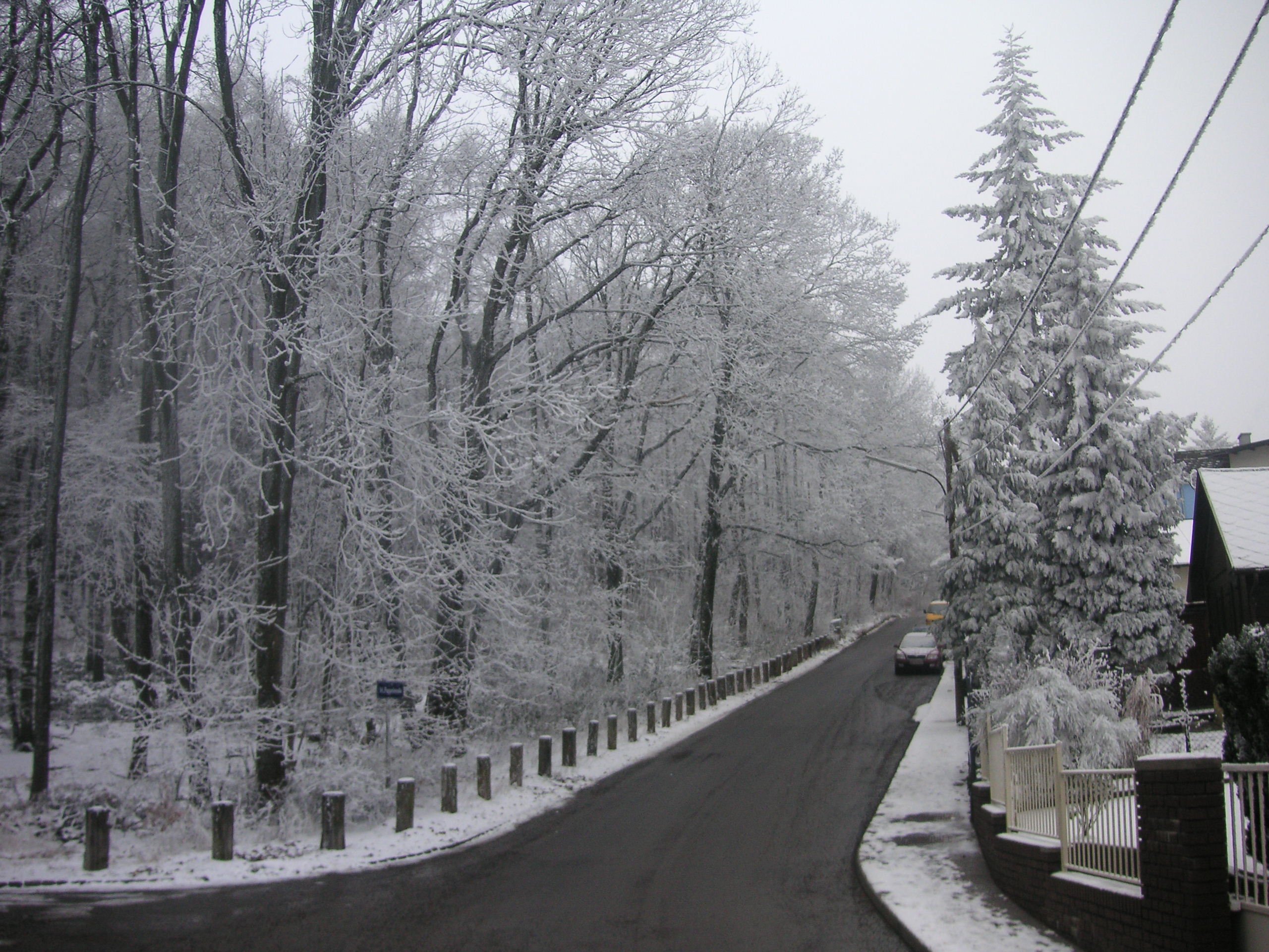 Wienerwald (Vienna Woods)