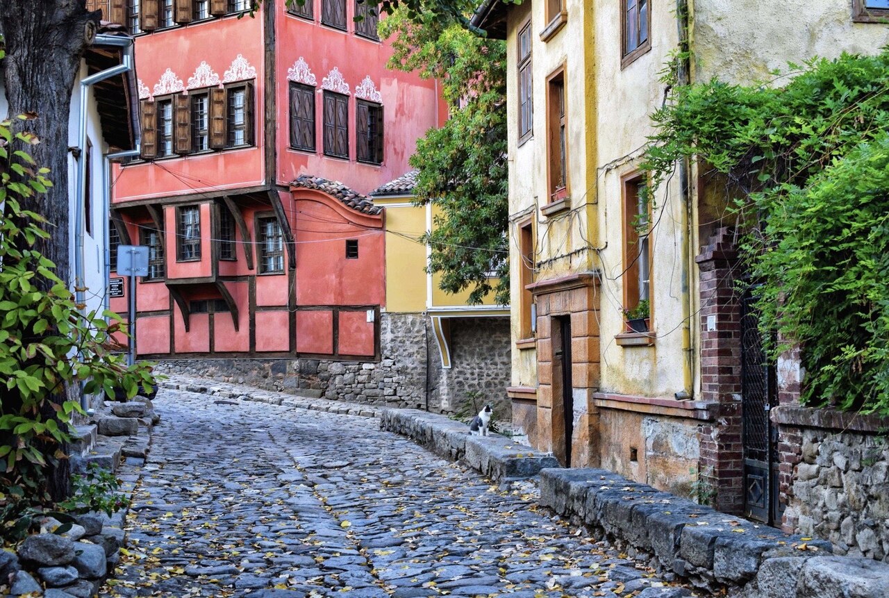 Old Town (Staria Grad)