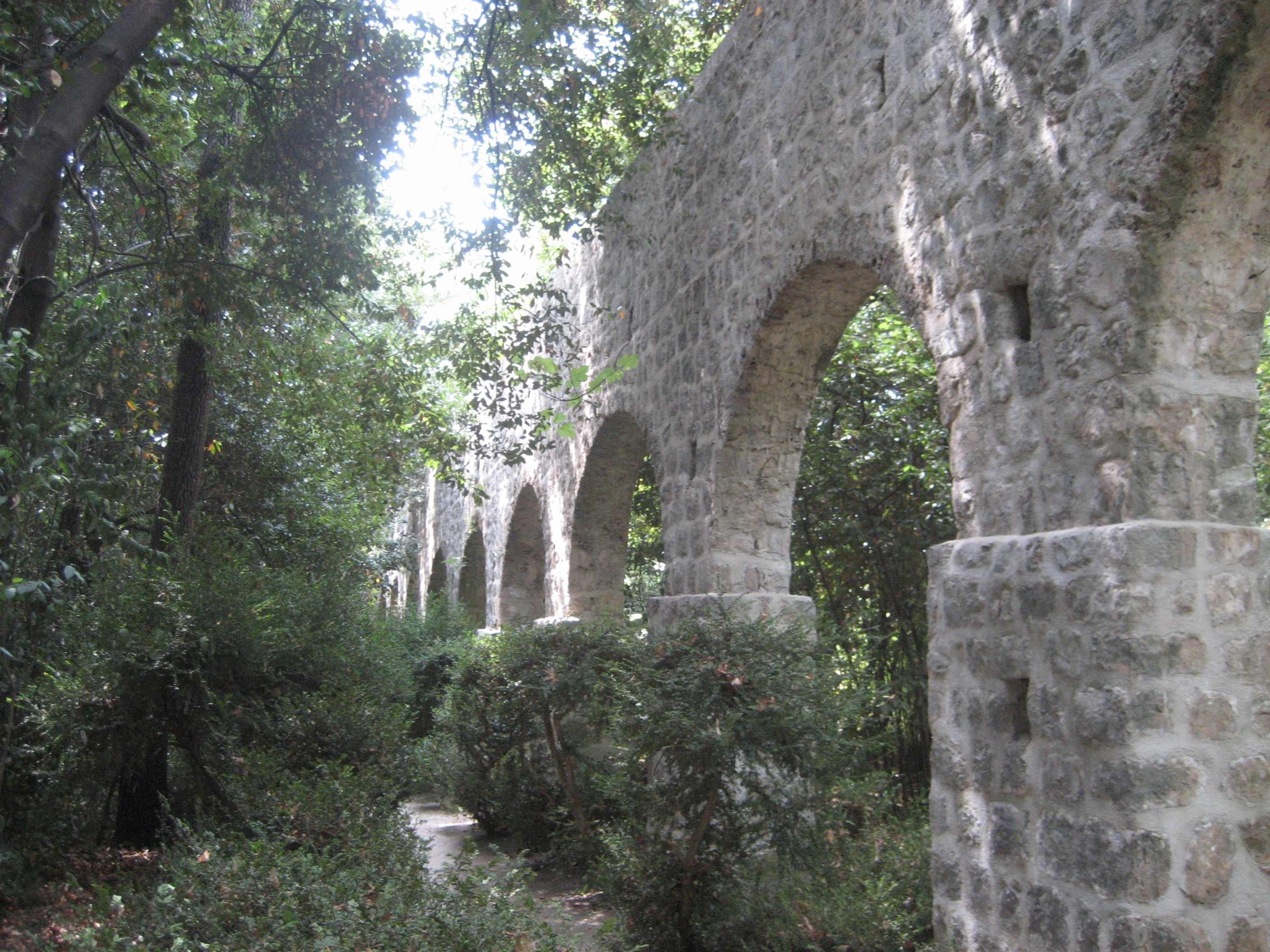 The Trsteno Arboretum