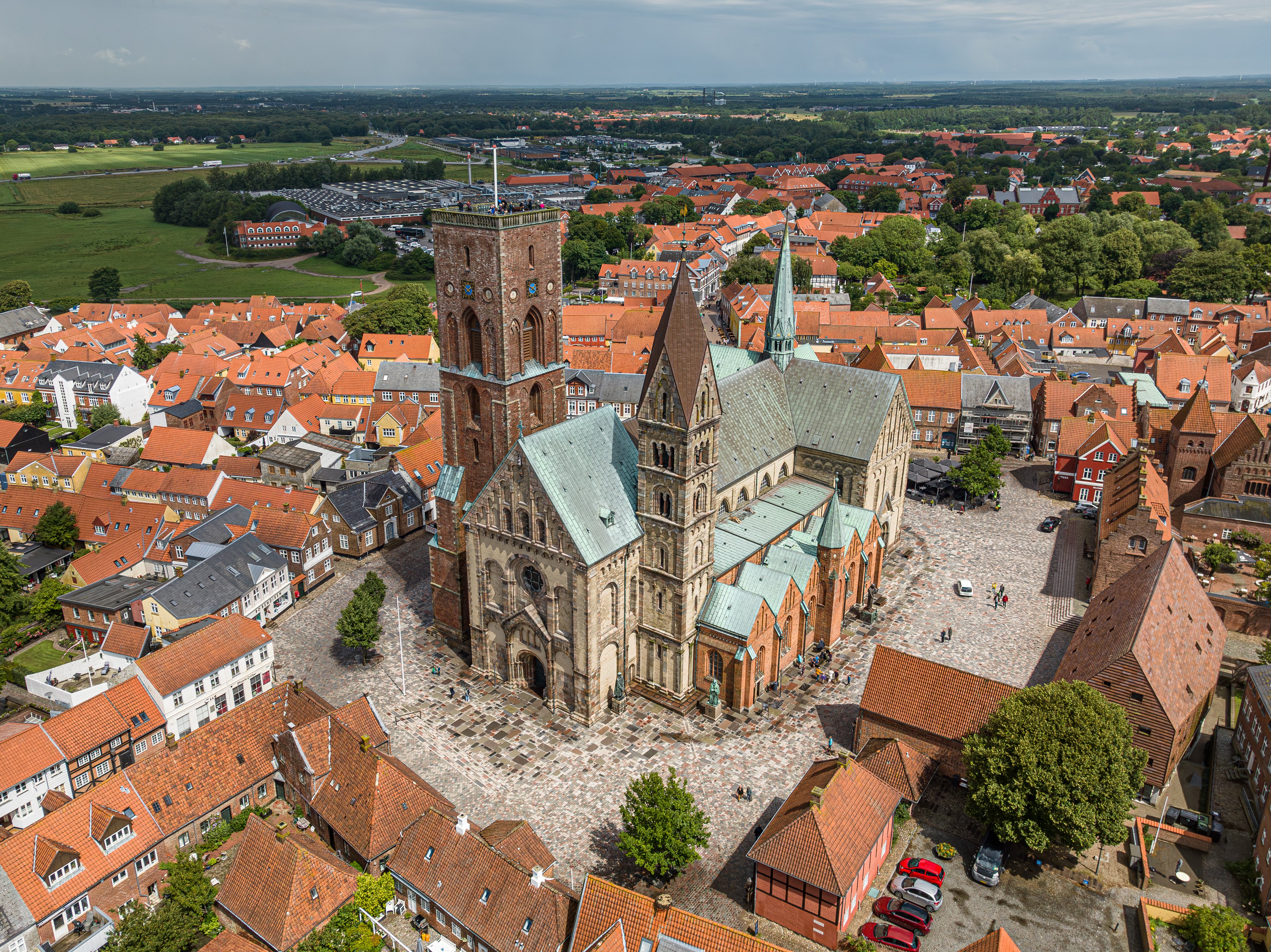 Ribe