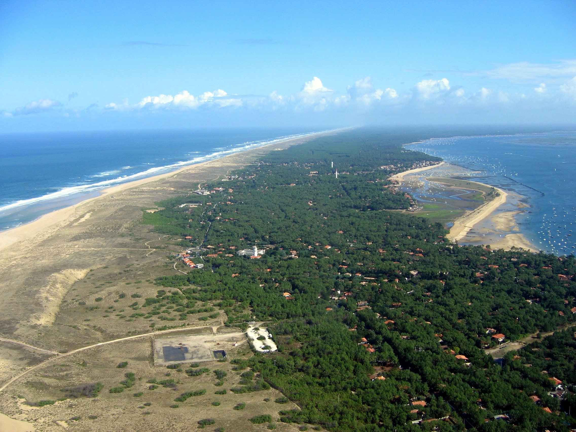 Lege Cap Ferret