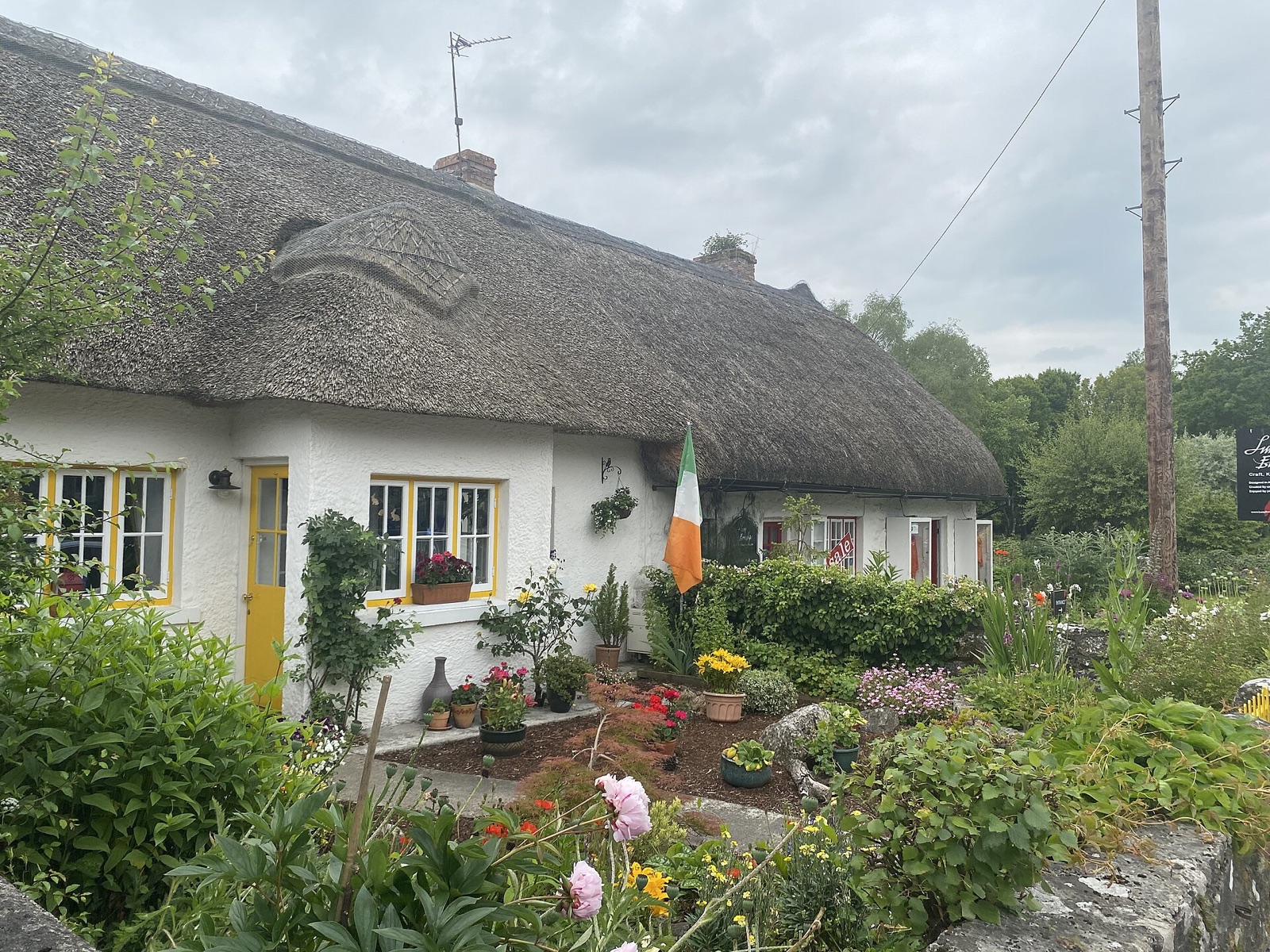 Adare
