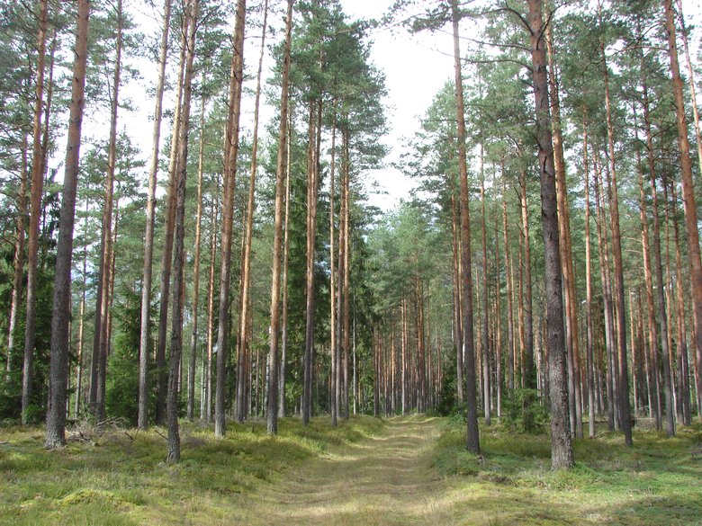 Latvia