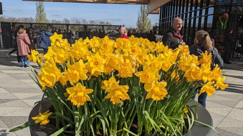 Keukenhof