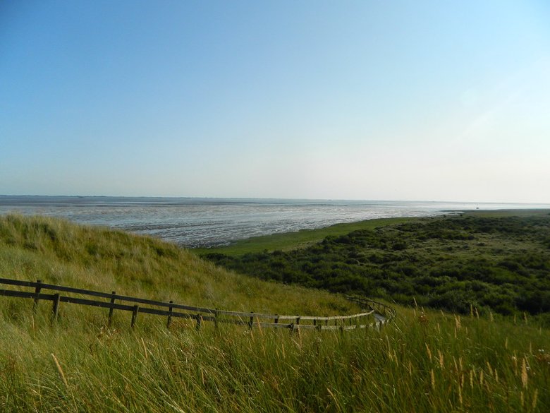 Wadden islands